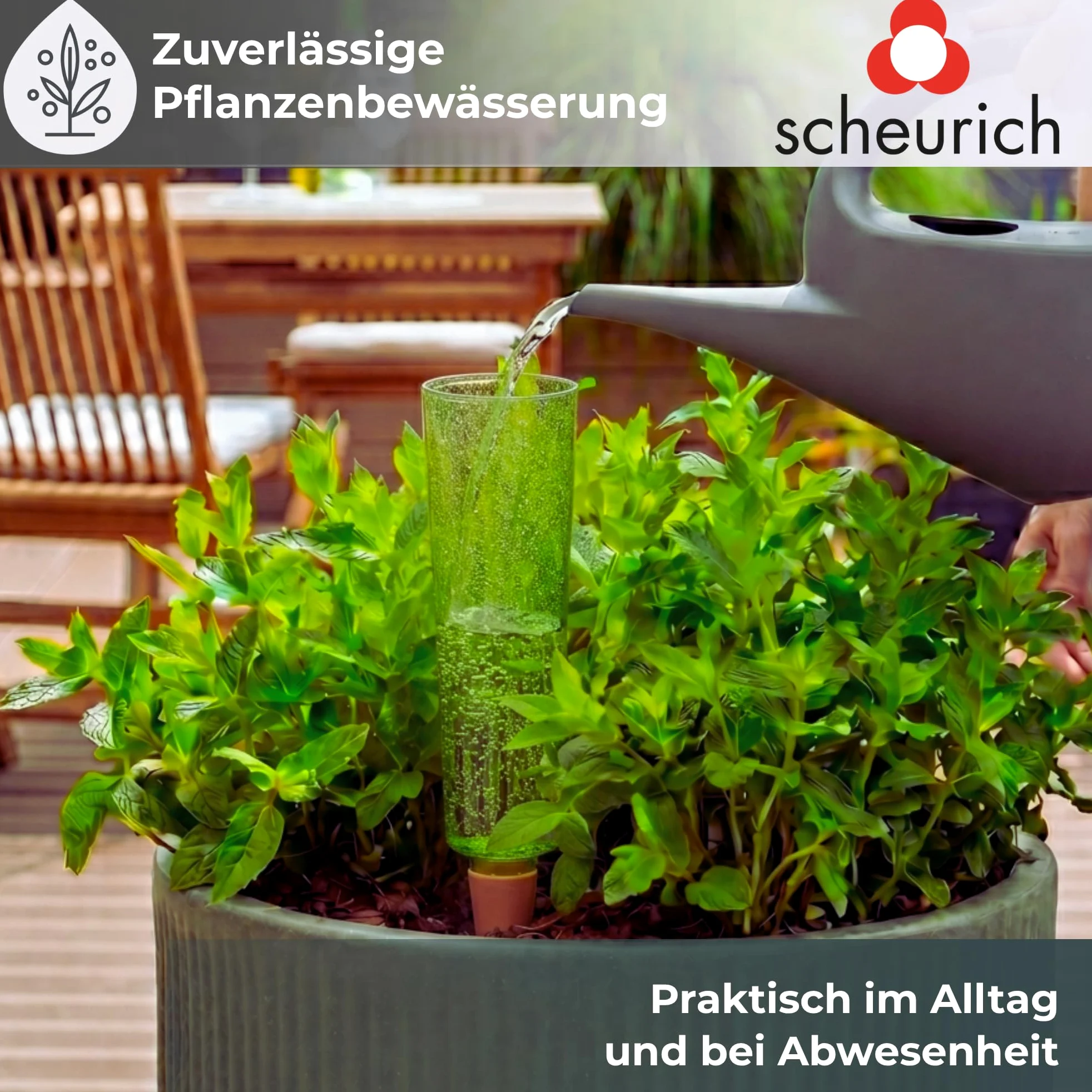 Scheurich COPA XXL irrigazione acqua Dispenser irrigazione sfera verde trasparente