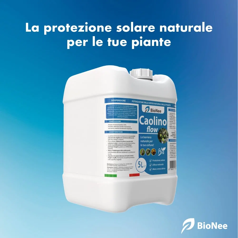 Caolino Flow in sospensione corroborante potenziatore difese naturali MOSCA DELL'OLIVO (5 L)