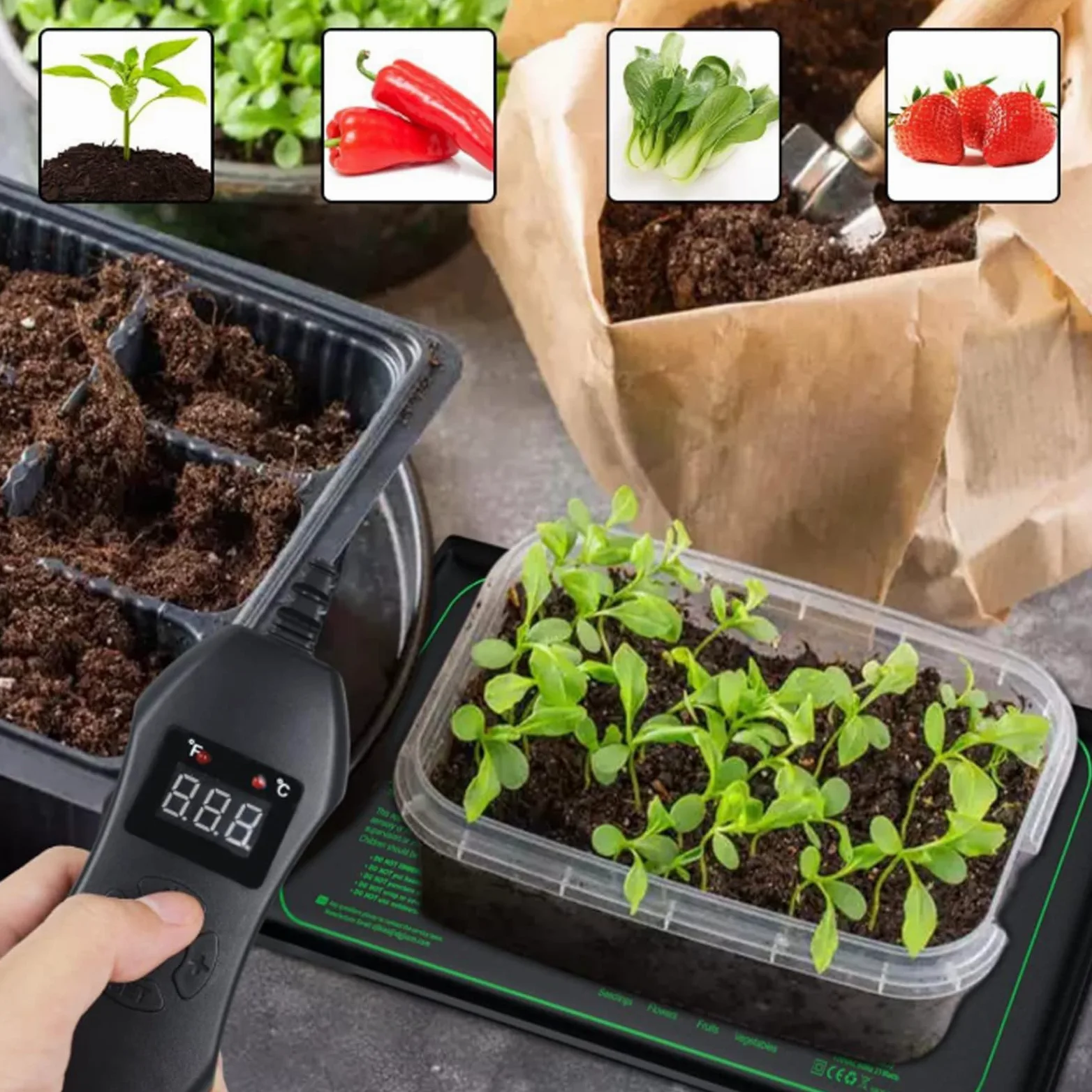 GOMETY Tappetino riscaldante per piante con termostato da 50 W, 52,5 x 25 cm, per piantine, rettili, animali domestici, IPX4, impermeabile, regolazione della temperatura per germinazione e serra da