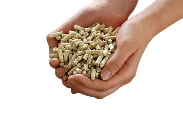 Pellet Faggio Sacco 15 Kg