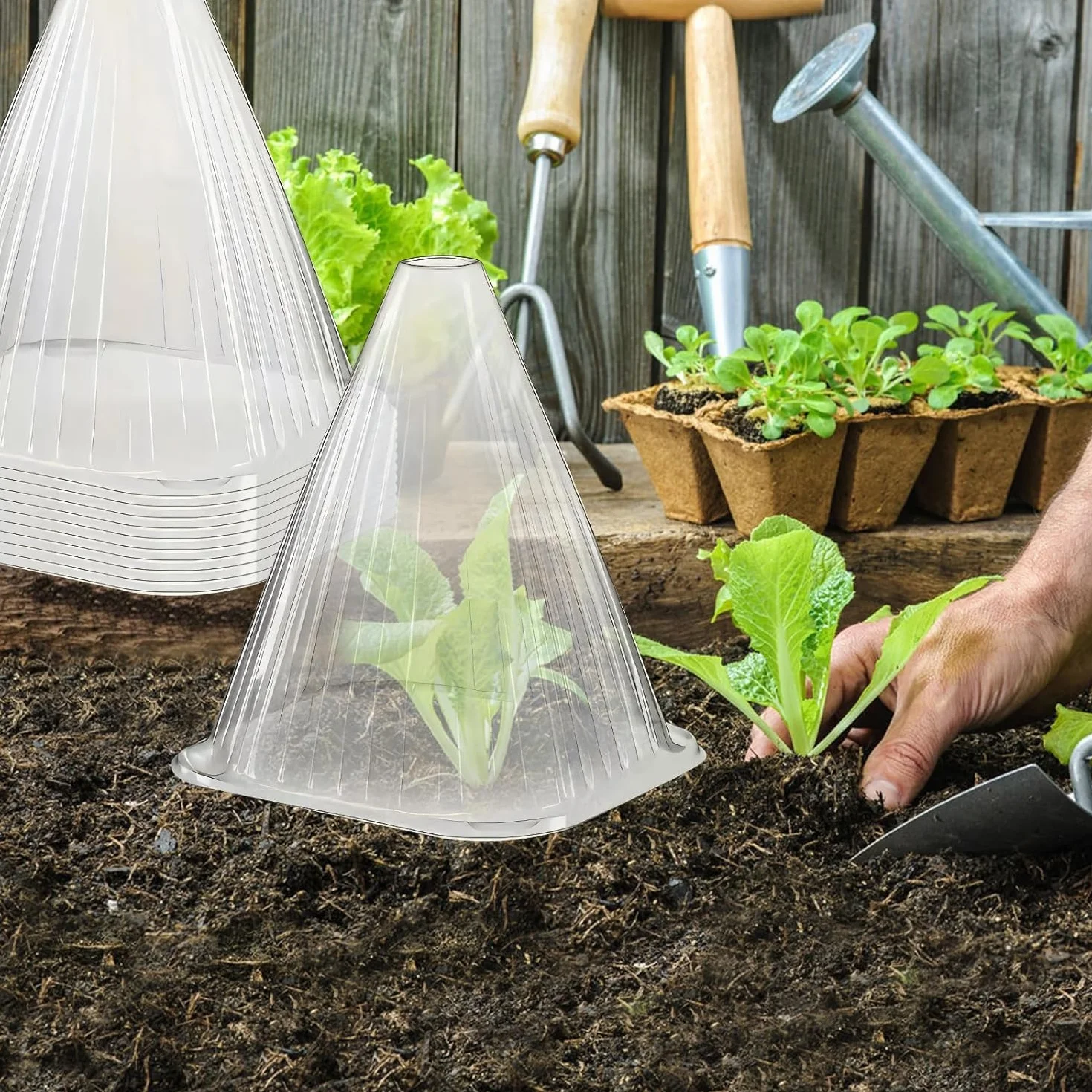 KAHEIGN 20 Pezzi Campane per Piante da Giardino, 22CM x 19CM Copertura per Campana per Piante in Plastica Mini Serra Riutilizzabile per Protezione da Sole Neve Gelo Lumache Uccelli Insetti (Chiaro)