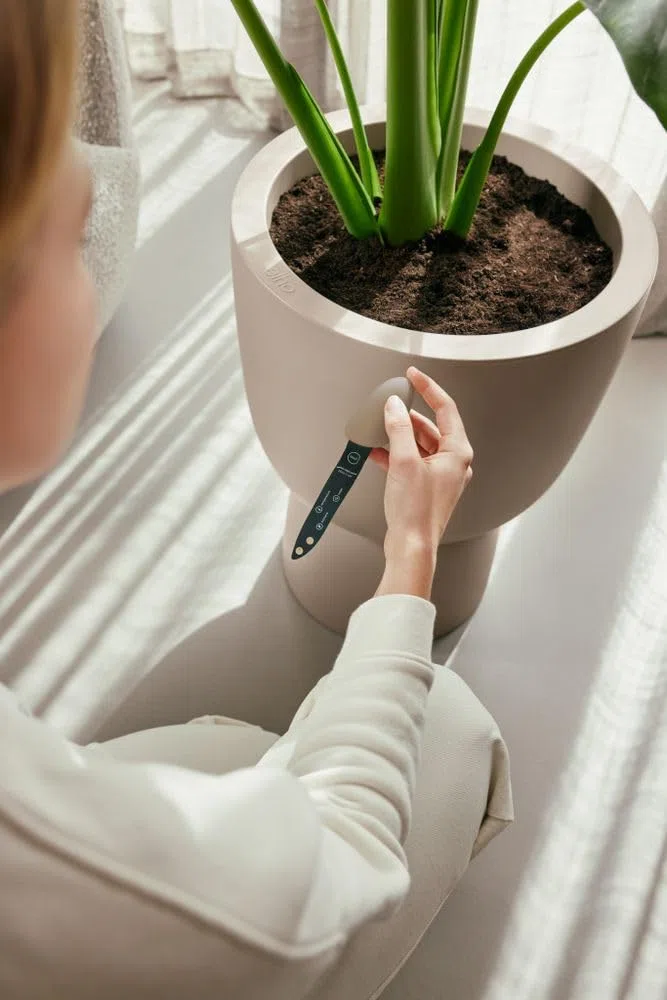 Elho Smart Pebble - Contatore Intelligente per Piante - Sensore di umidità, Luce e Fertilizzante per Interni - Cura delle Piante con App - L 4,0 x P 5,0 x A 17,3 cm - Marrone Terroso