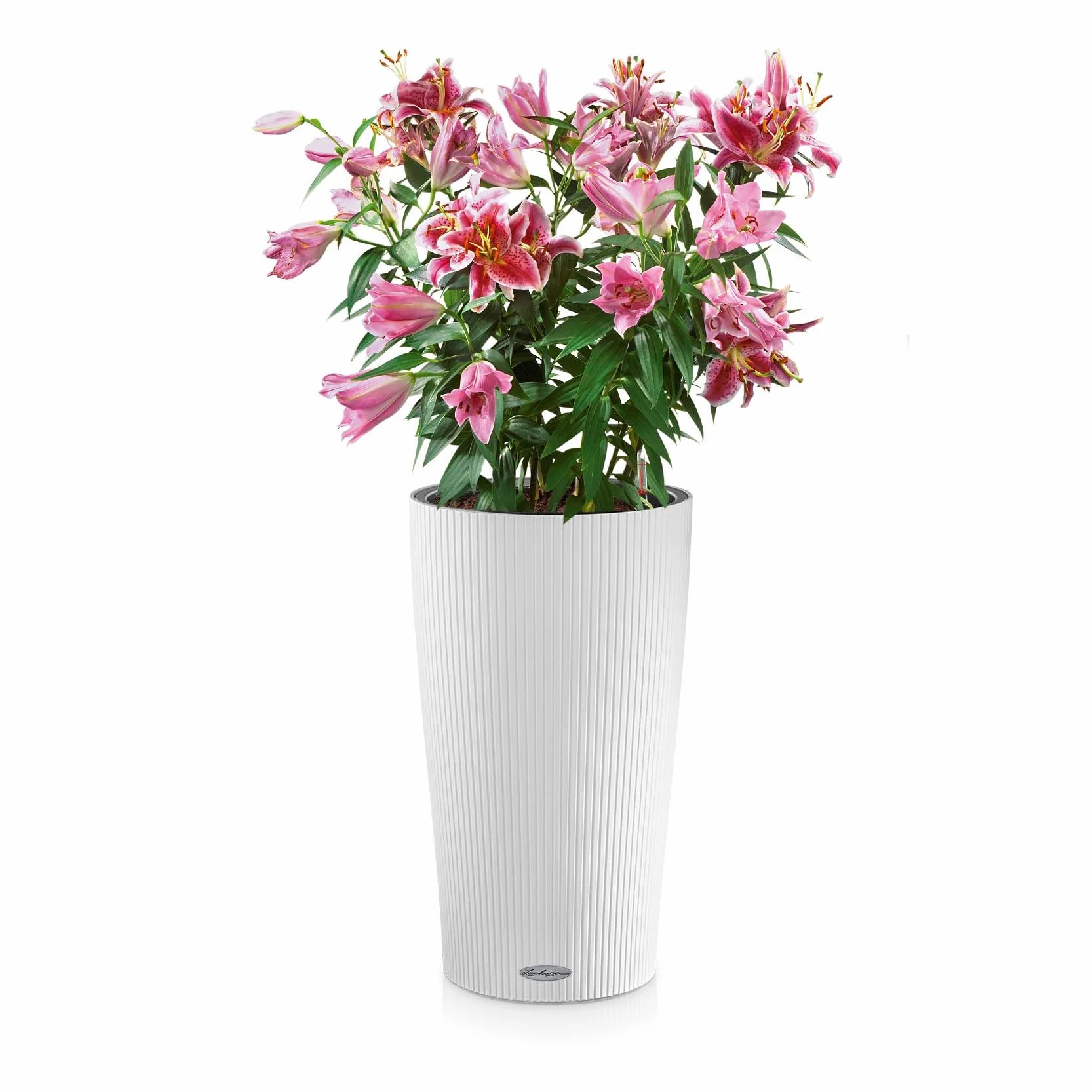 LECHUZA CILINDRO Color 32 bianco 13950