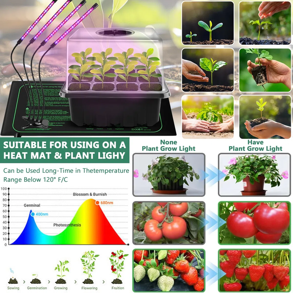 Vassoi per Semi,10 Pack 120 Cells Propagator con Coperchi Rialzati,Vassoi Seminacon finestra regolabile,20 Etichette,3 Pale,2 Strumenti,Guanti,Strumento di Coltivazione in Mini Serra