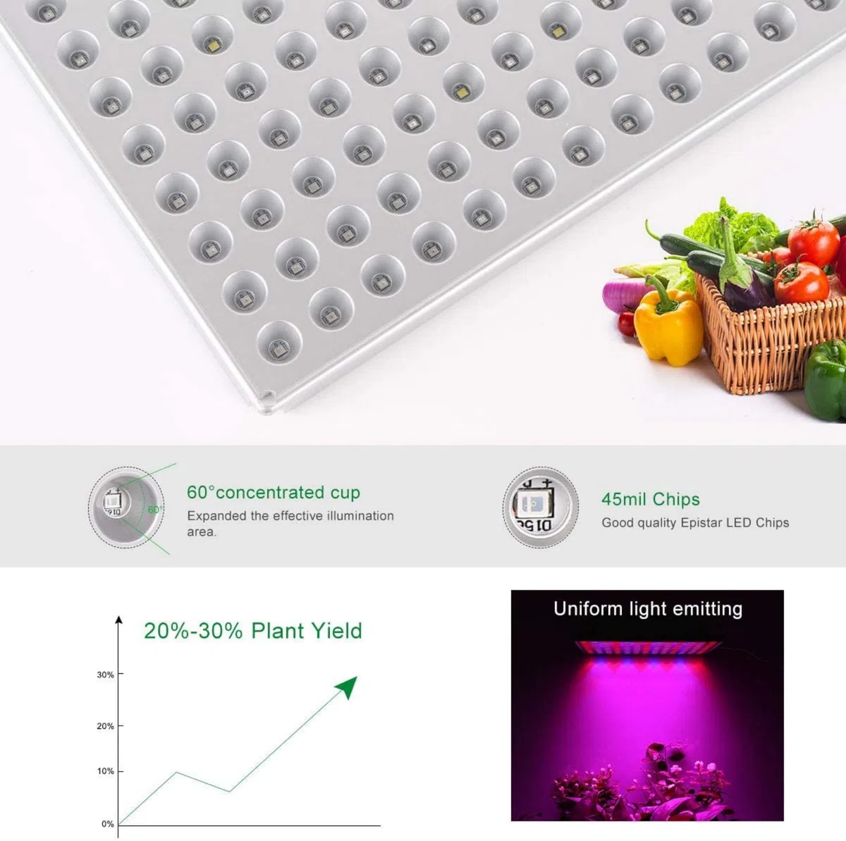 Grow LED Luce per Piante 75w Lampada da Coltivazione Indoor Idroponica Lampada Crescita Luci Piante con Rosso e Blu Luci in Serra,Grow Box