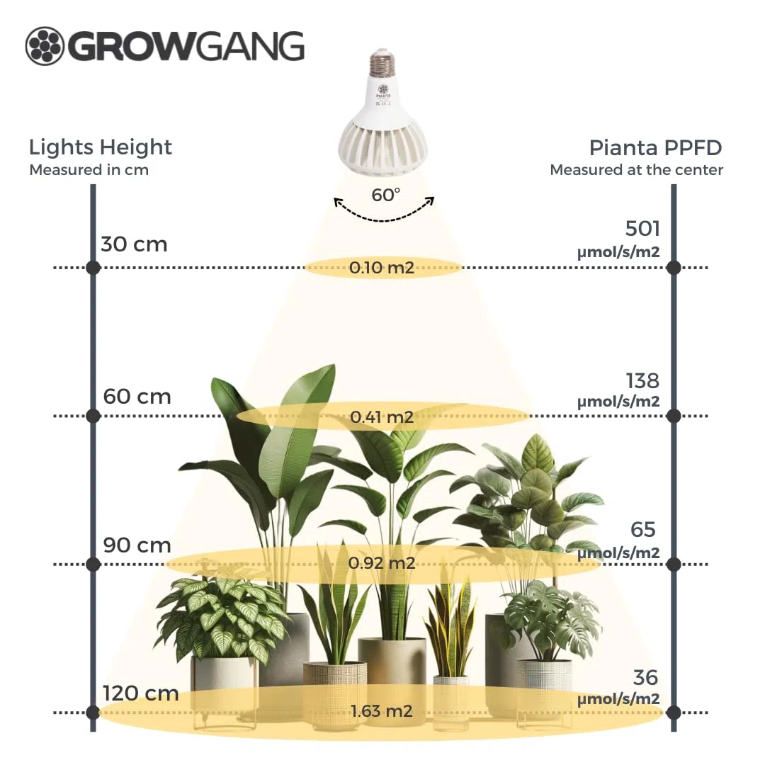 Coltiva luci per piante da interno, Lampadina a LED a spettro completo, luce per coltivazione indoor per piante grasse erbe e cactus, germinazione di piantine, E27, PPF μmol/s 33.1.