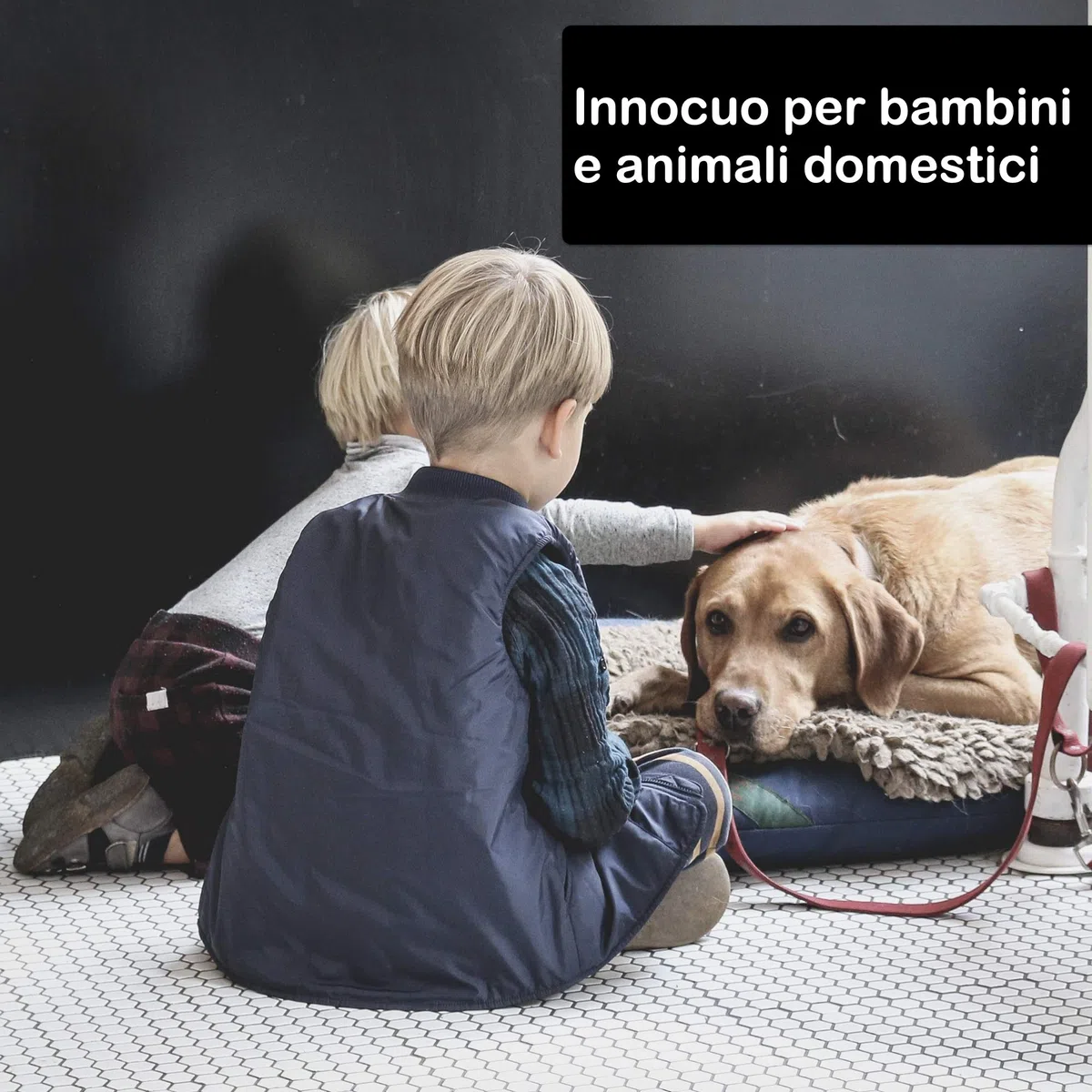 VEBI Fumigante insetticida antitarlo Duracid | Antitarlo per Legno 2X 11g | Insetticida per disinfestazione Insetti Volanti e striscianti | Permetrina antitarlo