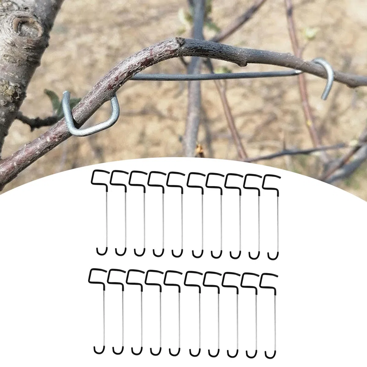 Gralara 20x Divaricatori per Rami di Alberi da frutto Attrezzi per Modellare Il Giardinaggio Modellatori per Rami di Alberi da frutto per Piante in Vaso, 26 cm