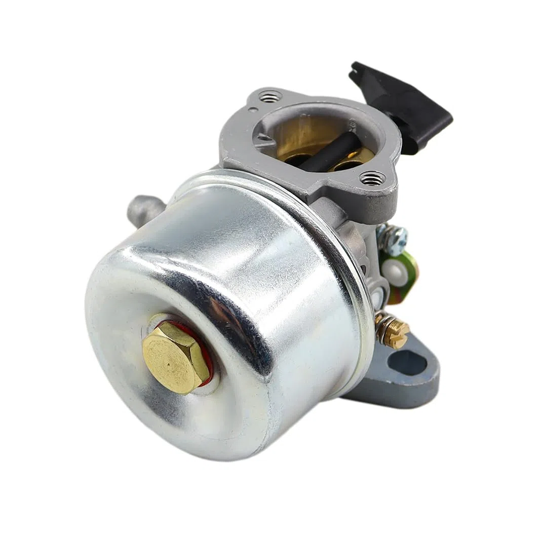 MCHNIC Carburatore con guarnizione per motori Briggs & Stratton Quantum 45 50 55 XM55 XTE40 XTE50 625er 675 sostituisce 494216 494217 498965 698056 MTD Wolf 2069029