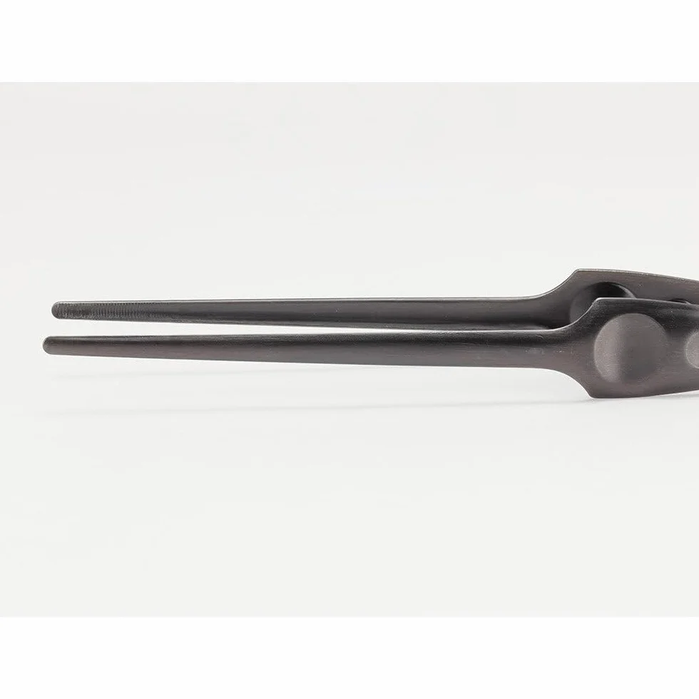 Snow Peak Pitts - Pinze per barbecue, griglia, focolare o casa, acciaio inossidabile, 27 cm