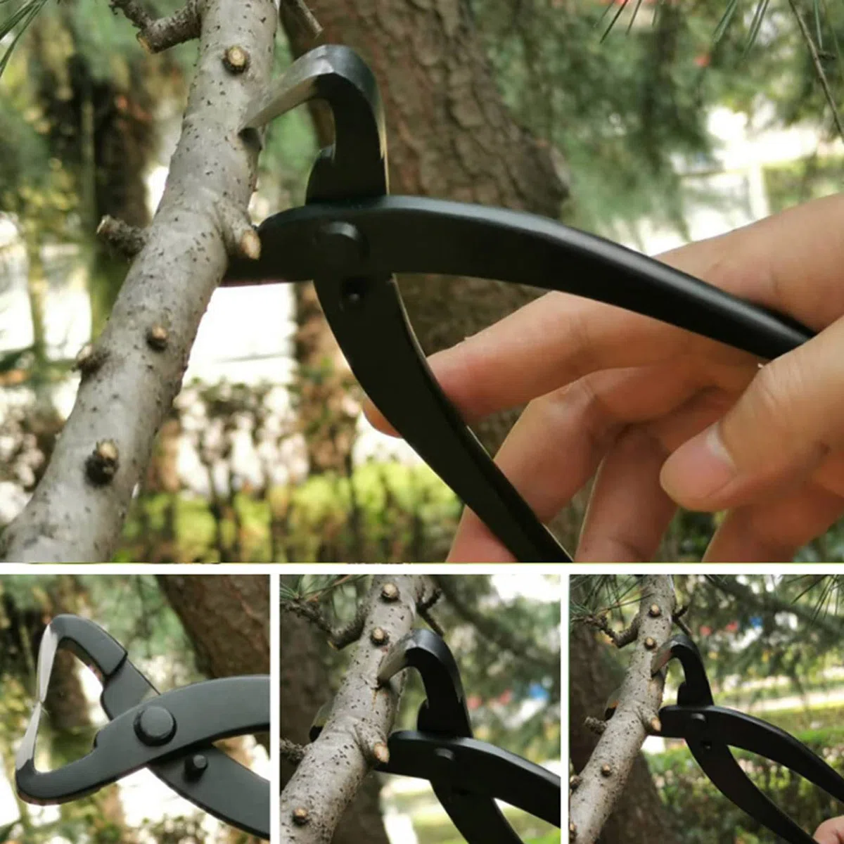 Set di attrezzi per bonsai Kit di rifinitura da giardino da 6 pezzi di grado professionale con custodia per appassionati di bonsai e giardinieri Lega di acciaio inossidabile