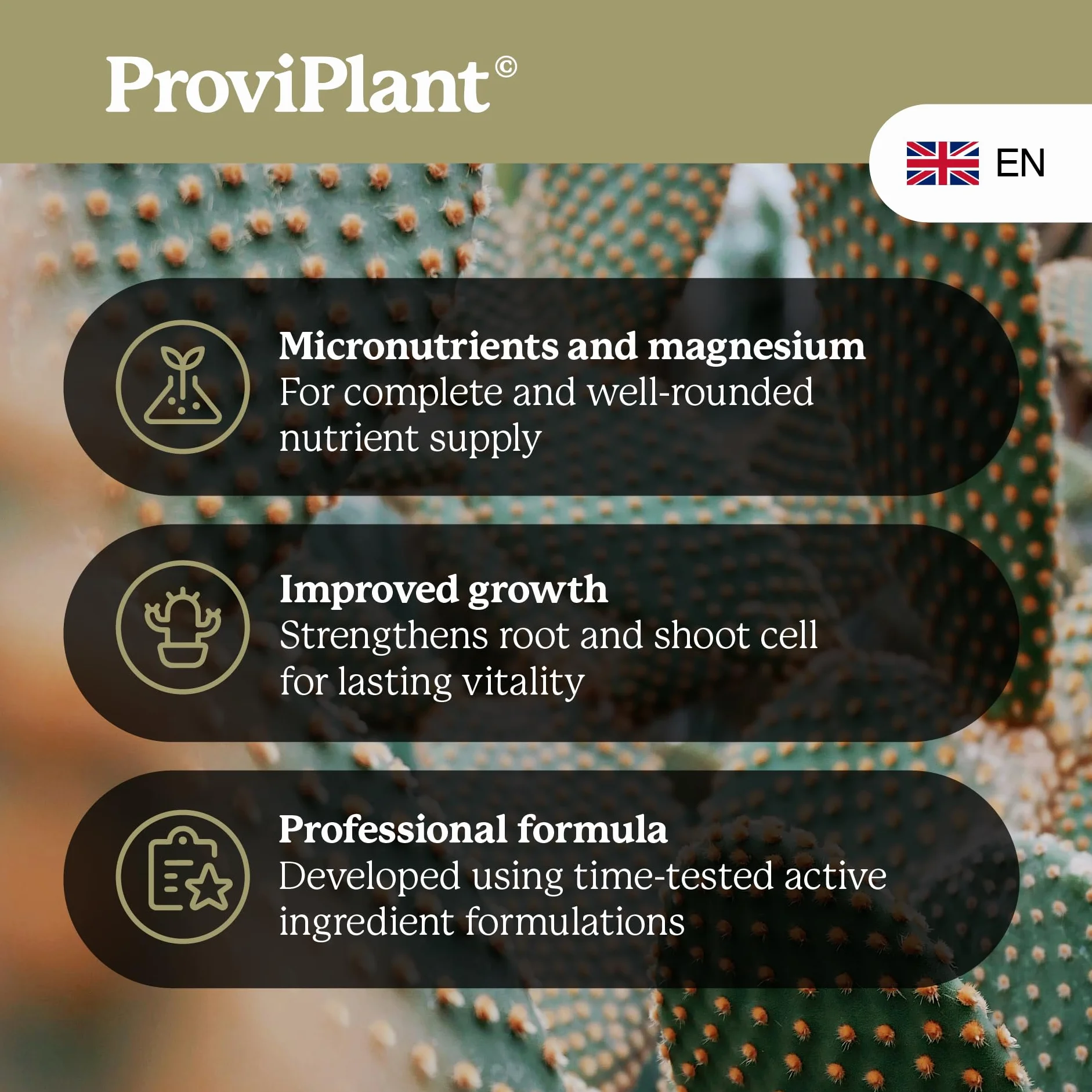 Fertilizzante per cactus – 1 litro di fertilizzante speciale per piante grasse e piante grasse per interni ed esterni, qualità professionale, ad alta efficienza – 200 litri di acqua – Made