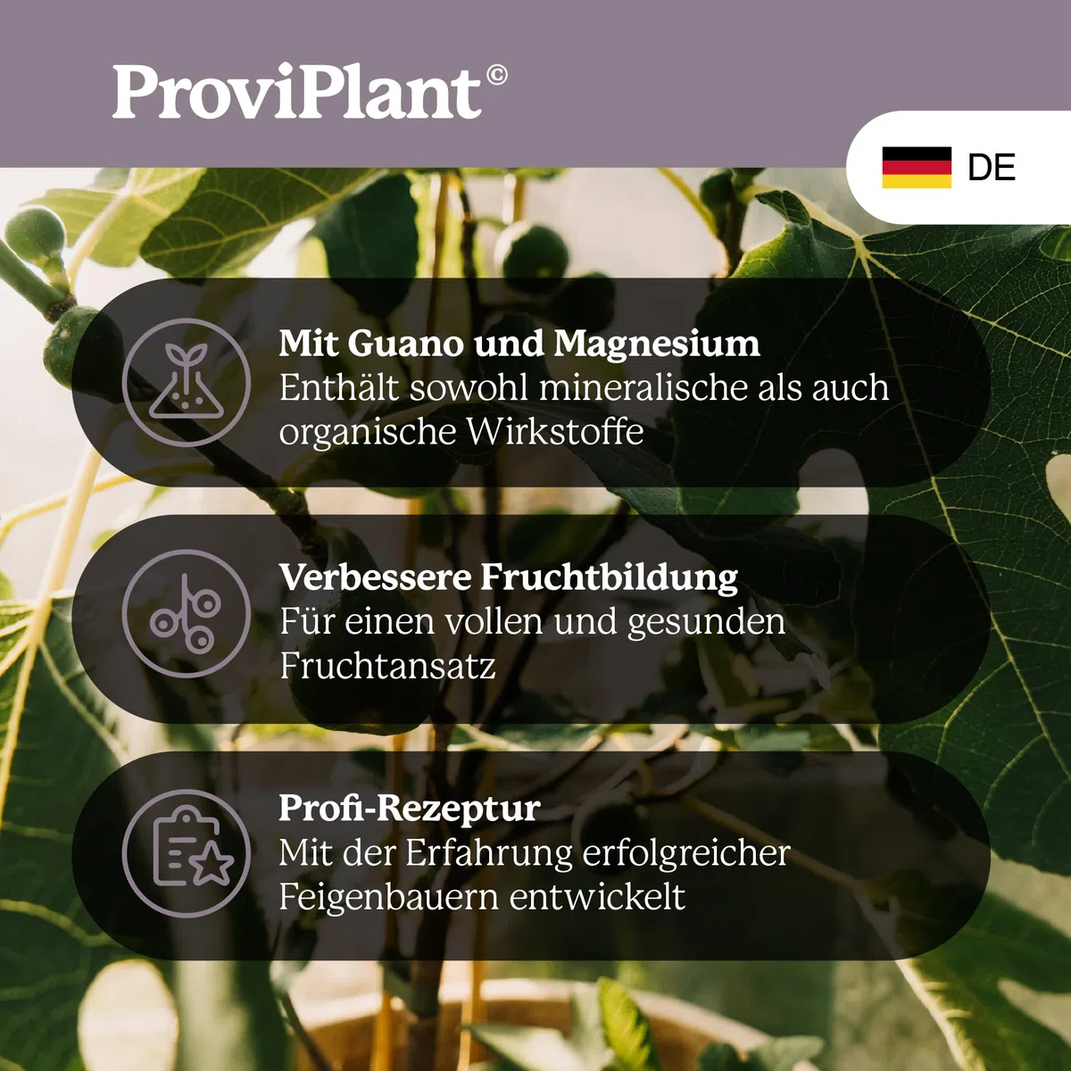 Fichi fertilizzante – 1 litro di fertilizzante speciale specie di fichi (Ficus) ed erbe per interni ed esterni di qualità professionale – Alta efficienza – 200 litri di acqua – Made in