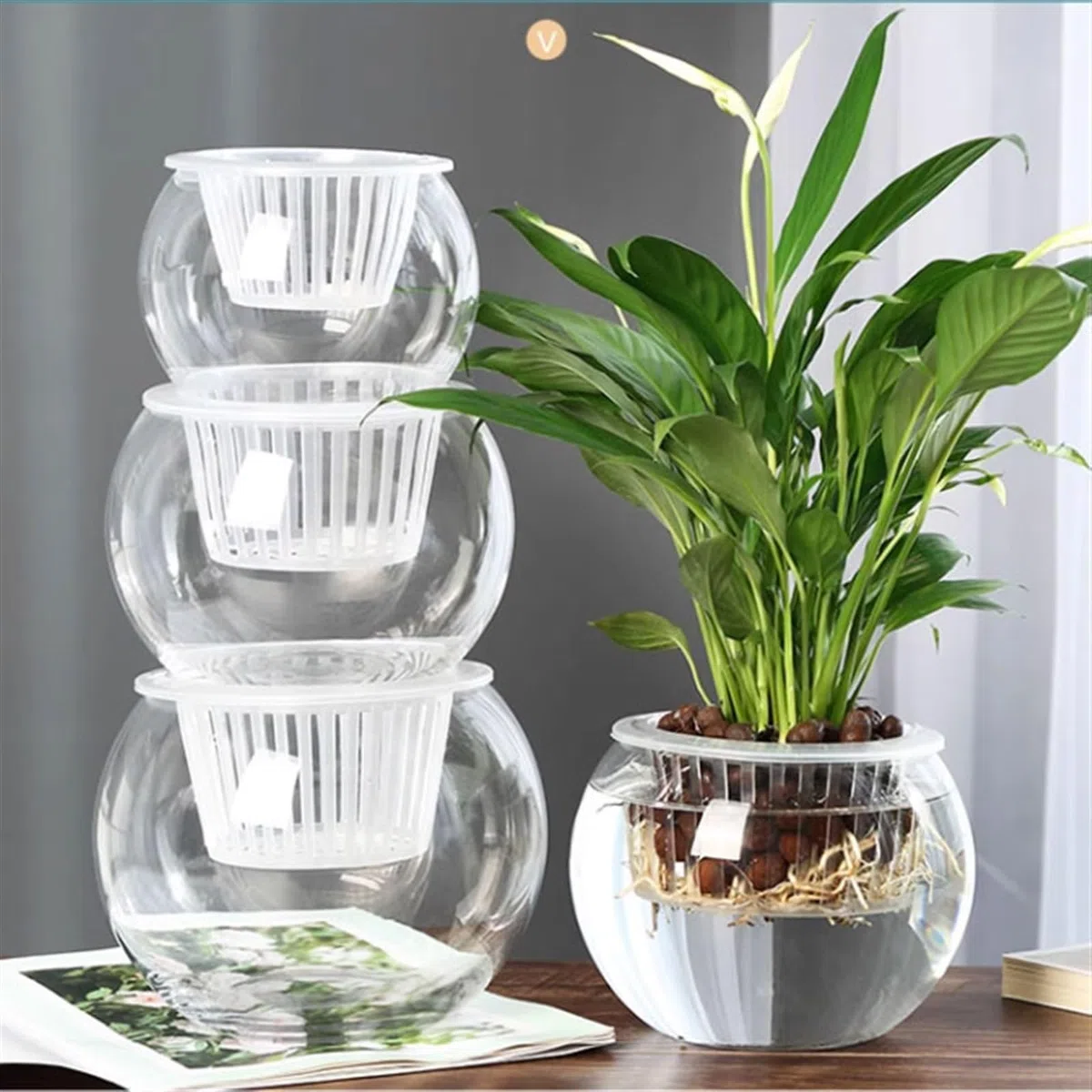 Contenitore for piante idroponiche in vetro trasparente, contenitore for acquatiche, for pesci, interno(M)