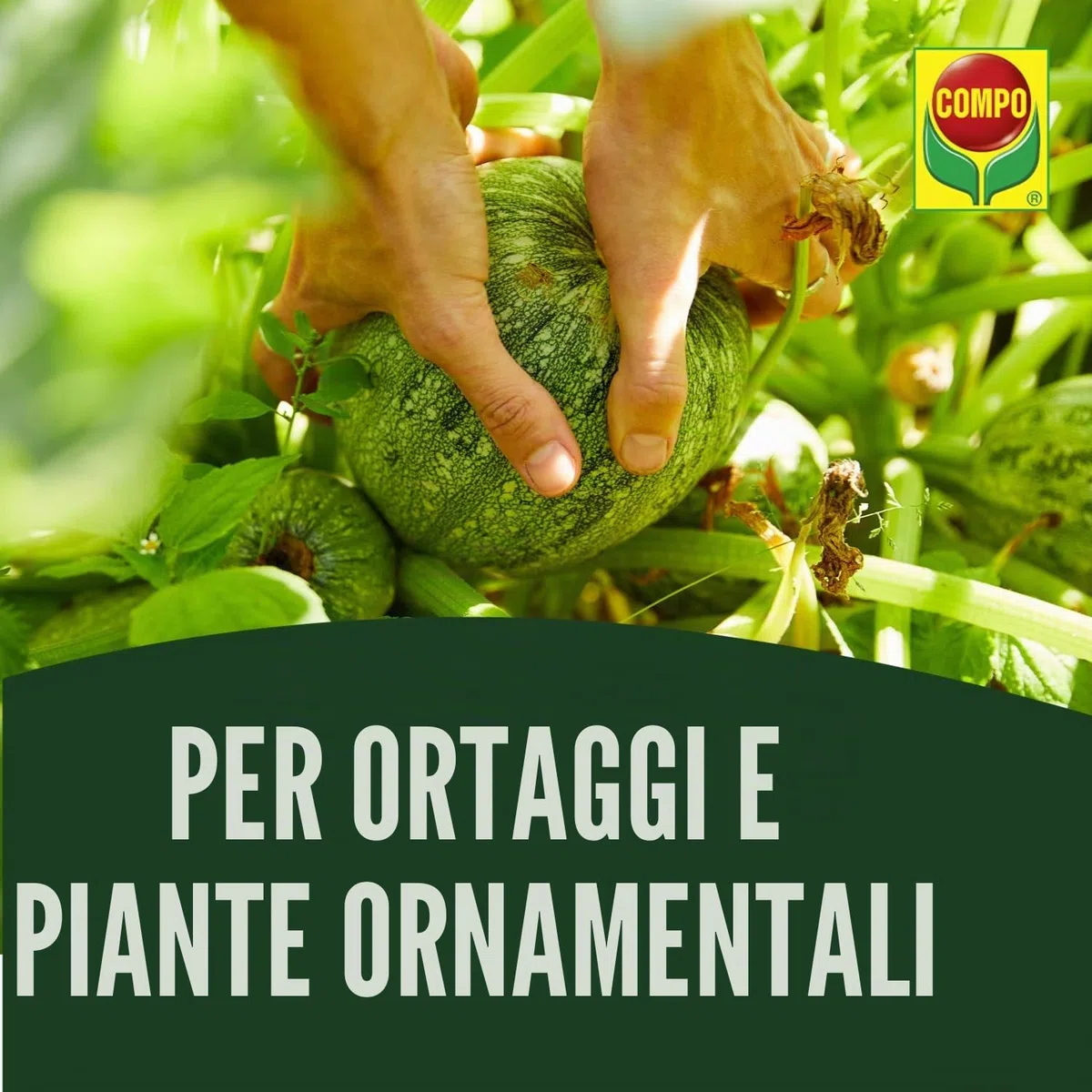 Compo Duaxo universale senza funghi 24 ml
