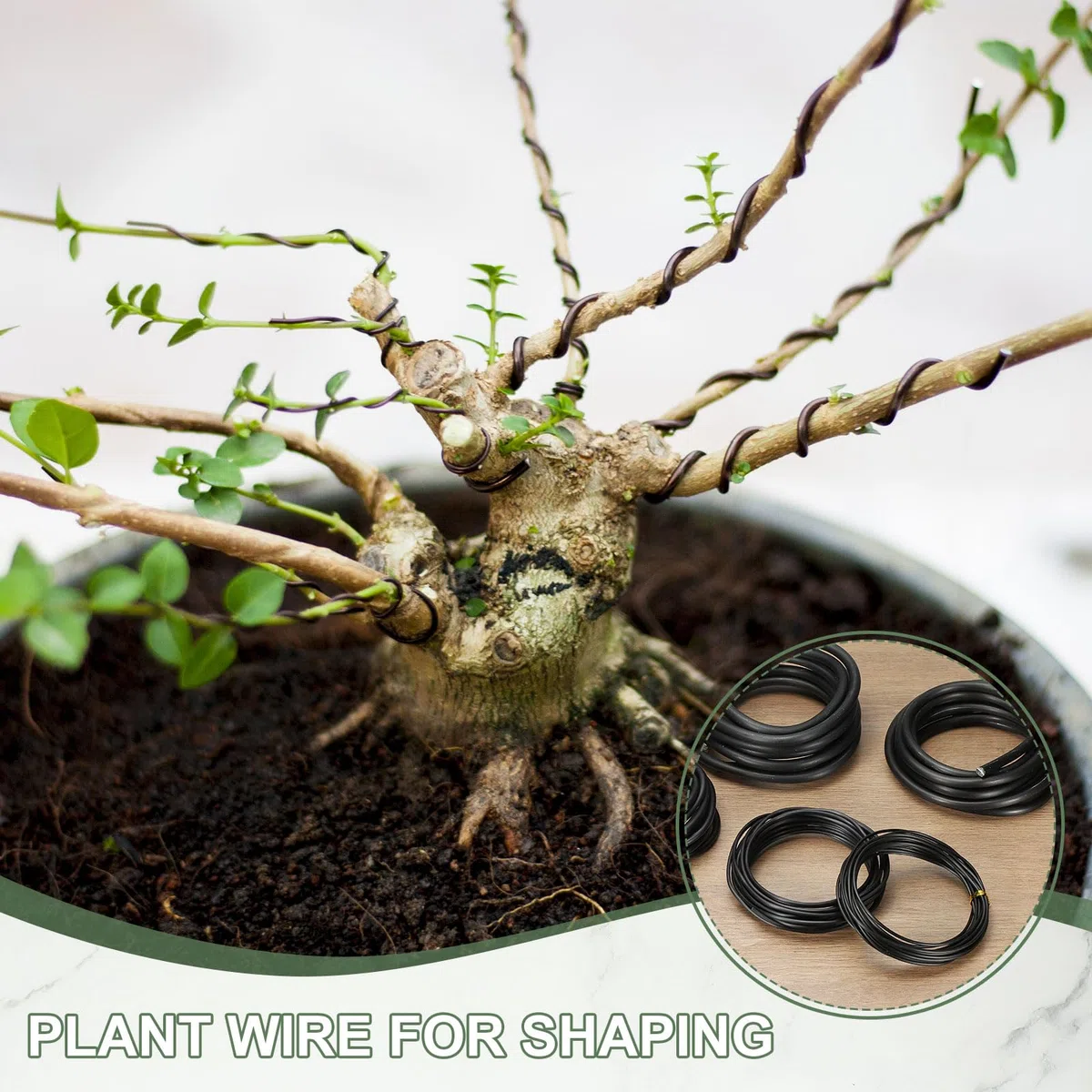 Filo per bonsai, 8 mm x 3 m, in alluminio anodizzato, per addestramento di piante floreali, pieghevole, steli in metallo, accessori per giardinaggio, fissaggio rami artigianali (nero)