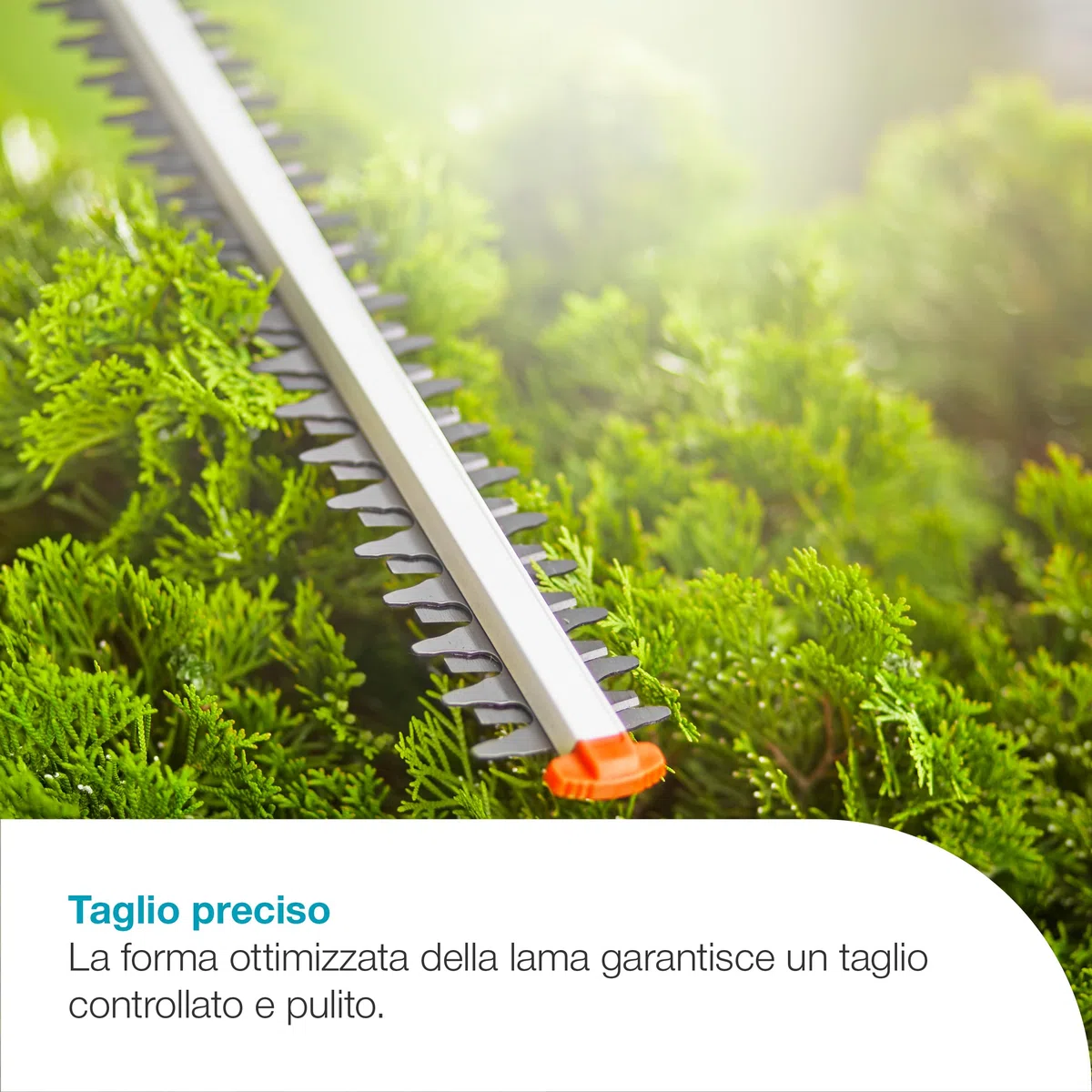 Gardena Tagliasiepi Telescopico A Batteria THS 42/18V P4A Solo: Telescopico, Fino a 3 m di distanza, Lama da 42 cm, Testa angolata, Senza fili (14732-55)