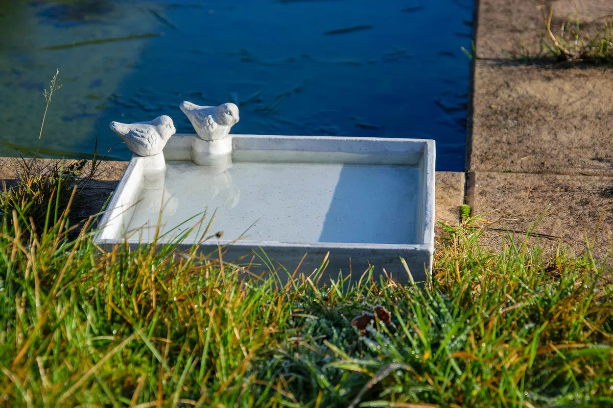 dobar® 12979e - Abbeveratoio Quadrato per Uccelli carré – Grande Bagno per Uccelli in Cemento, per Uccelli Selvatici – Abbeveratoio per Giardino/terrazza/Balcone – 29 x 29 x 5 cm – Bianco