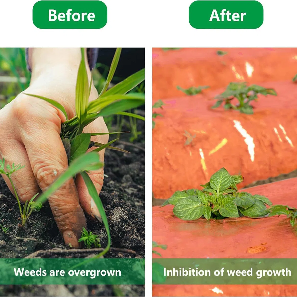 Pacciame per giardino, pacciame per orto - Piantare pellicola di pacciamatura rossa - Pacciame artificiale antierba, pellicola per pacciamatura, pellicola per coltivazione di colture agricole per la s