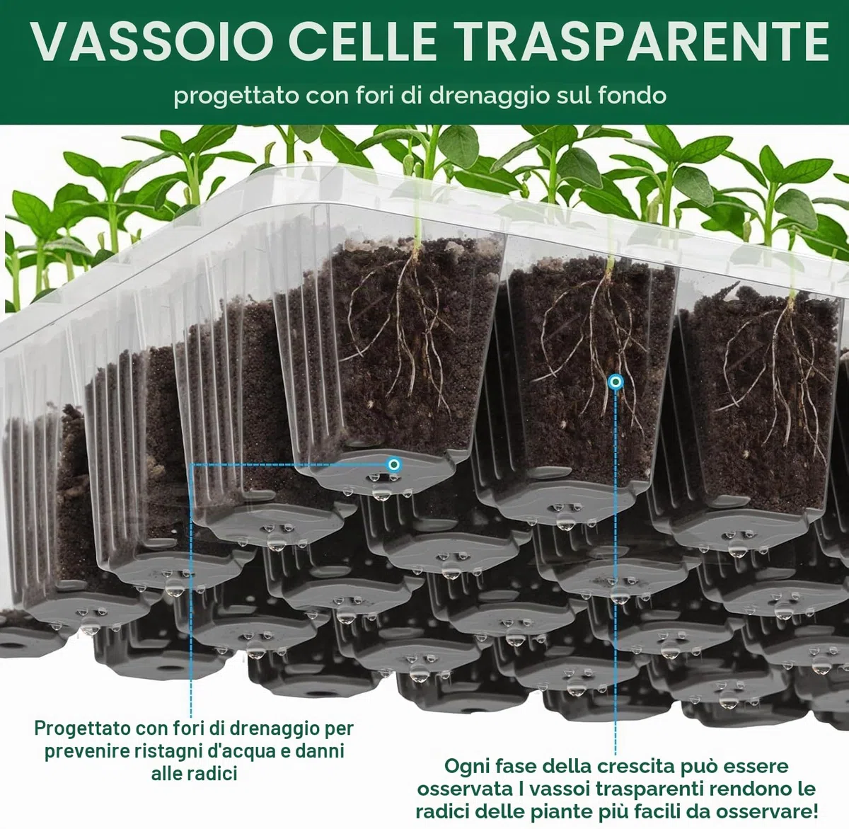 LATERN 4 Pezzi Vassoi per Piantine, 24 Celle Vassoio per Vivaio in Plastica Propagatore di Semi di Fiori con Sfiato Regolabile per Serra Giardino Casa Piantina (con 20 Etichette, 2 Attrezzi)