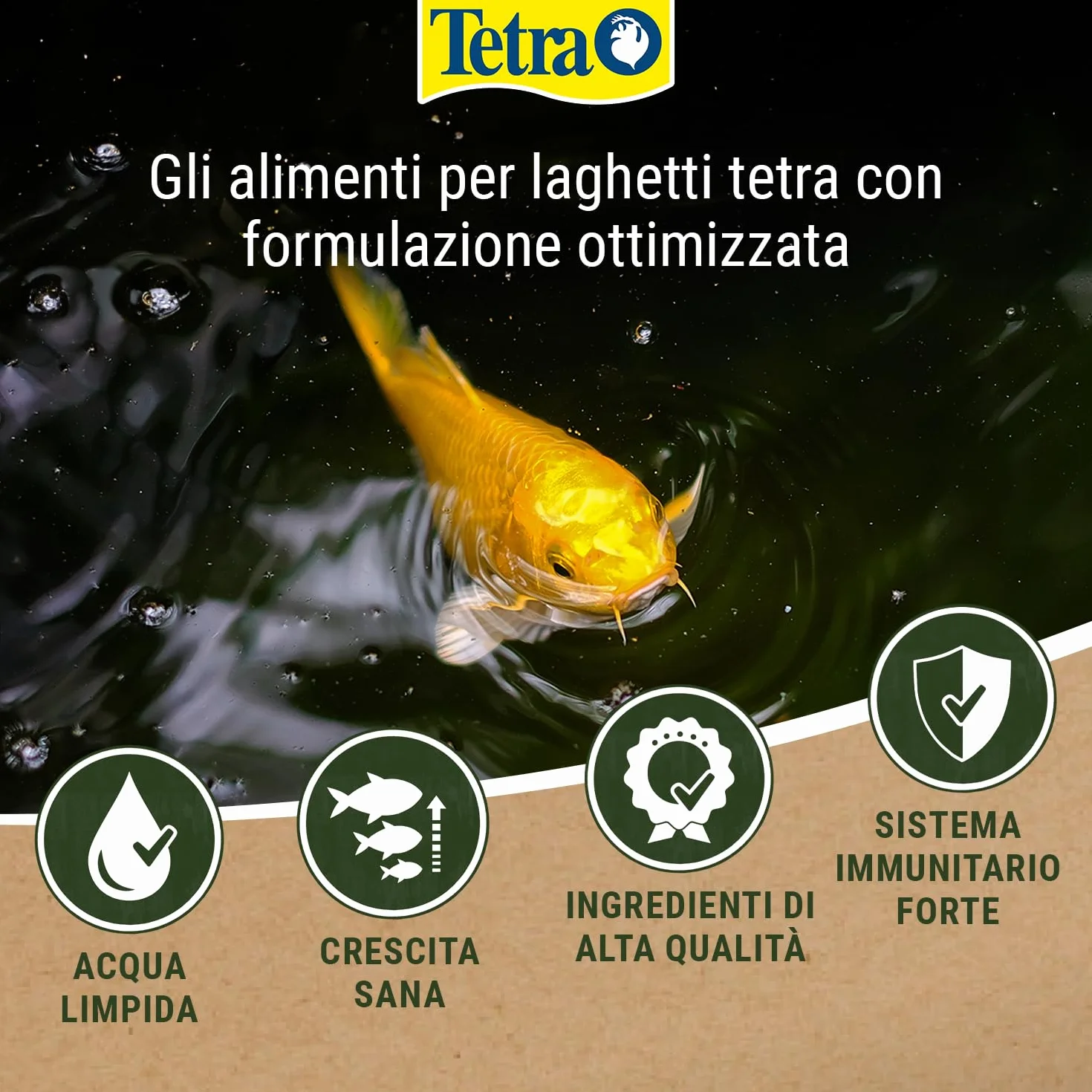 Tetra Pond Wheatgerm Sticks, Mangime Completo ai Pesci dei Laghetti da Giardino, Ottimale per Temperature Basse dell'Acqua in Autunno e in Primavera, 4 L