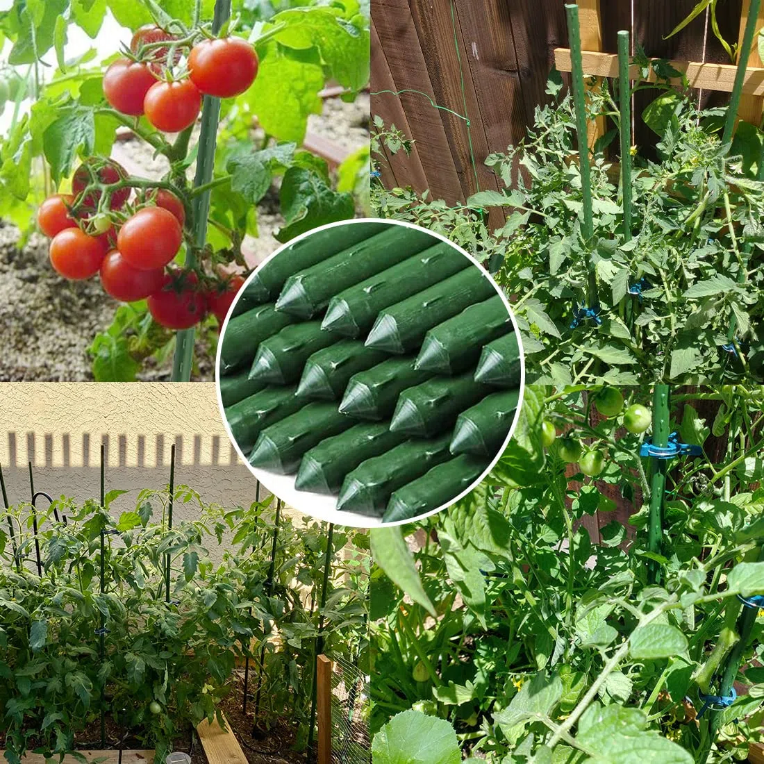 Pali per piante da giardino Bastoncini di supporto per piante verdi 20PZ Bastoncini per la coltivazione di piante con connettore Canne da giardino Pali di supporto per viti per fiori, verdure e
