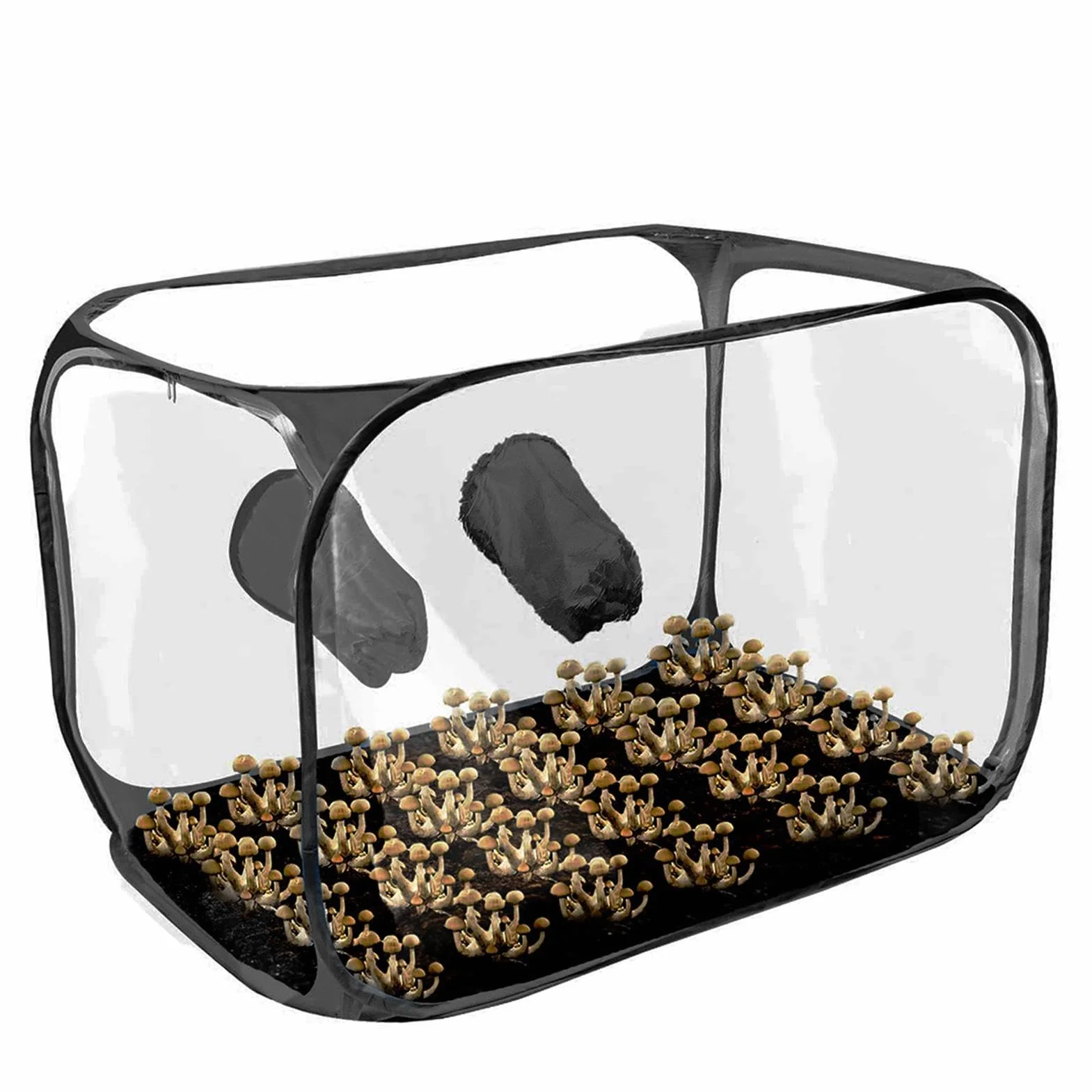 Mushroom Still Air Box - Borsa per piantare funghi, stazioni di propagazione della tenda | Borse per la coltivazione di funghi Forniture per orticoltura, contenitori pieghevoli dal design pop-up per