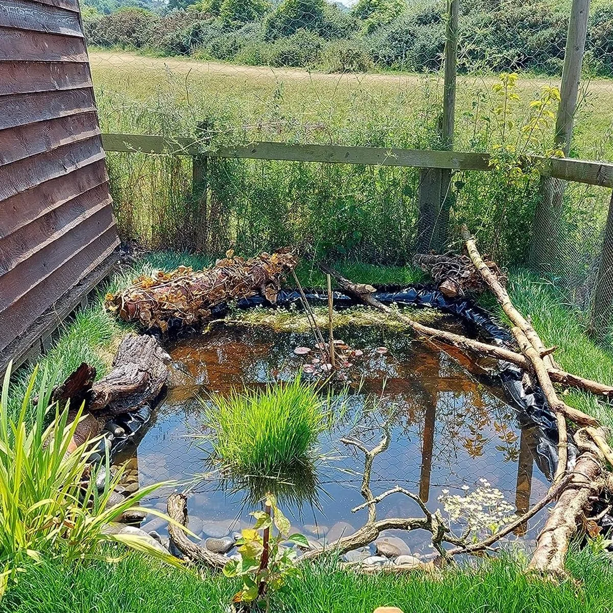 Rivestimento flessibile per laghetti, 3 x 6 m, per stagni e rive dei fiumi, facile da tagliare per piante, perfetto per giochi d'acqua all'aperto e paesaggistica