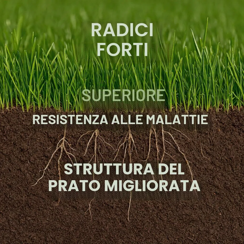 GiDeli Solfato di ferro 5 kg eptahidrato ortensia fertilizzante per il giardino e l'agricoltura FeSO4