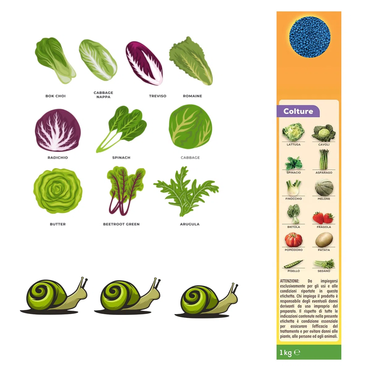Esca in Granuli per Lumache e Chiocciole | a Base di Fosfato Ferrico - 1 Kg per 4 Confezioni | Granuli per Orto e Giardino | Resistente a Pioggia e Irrigazione | Protezione Piante e Colture