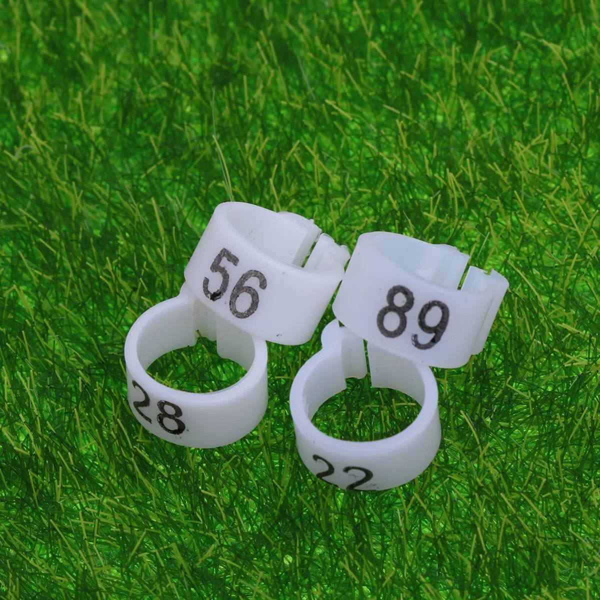 300 Anelli a Clip for Zampe di Uccelli for piccioni, pappagalli e Pulcini - Anelli di identificazione Colorati(3 Packs)