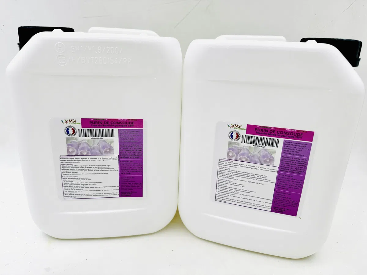 Set di 2 lattine da 5 l, purin de consolida – 100% naturale – PNPP utilizzabile in agricoltura biologica – tanica 5L per 100 l pronto all'uso per 100 m2 – Made in France – uso speciale