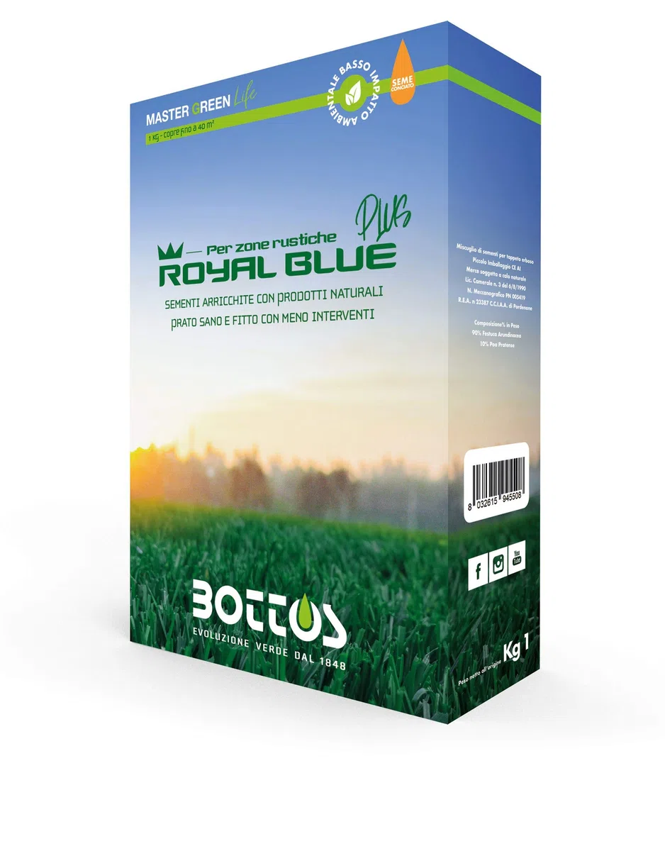 Royal Blue PLus, Sementi per tappeto erboso ideale per zone rustiche 1Kg
