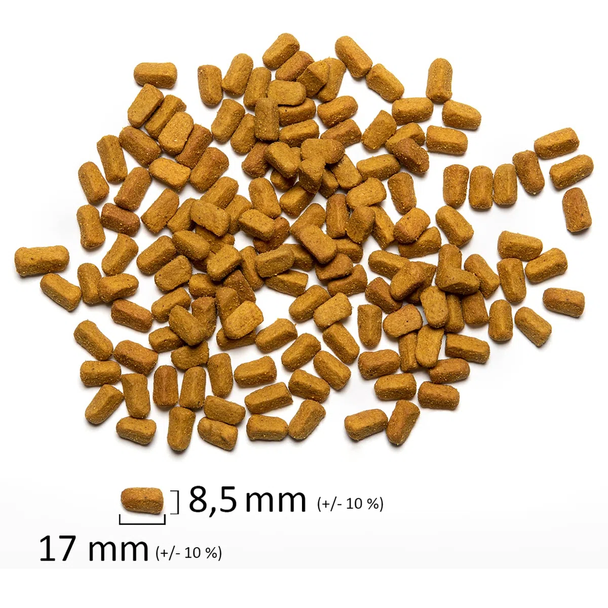 Psittacus Omega 800 g | Mangime completo per Ara, ecletti, cenerini ed altri pappagalli africani | Alimento premium per uccelli, 100% no-GMO