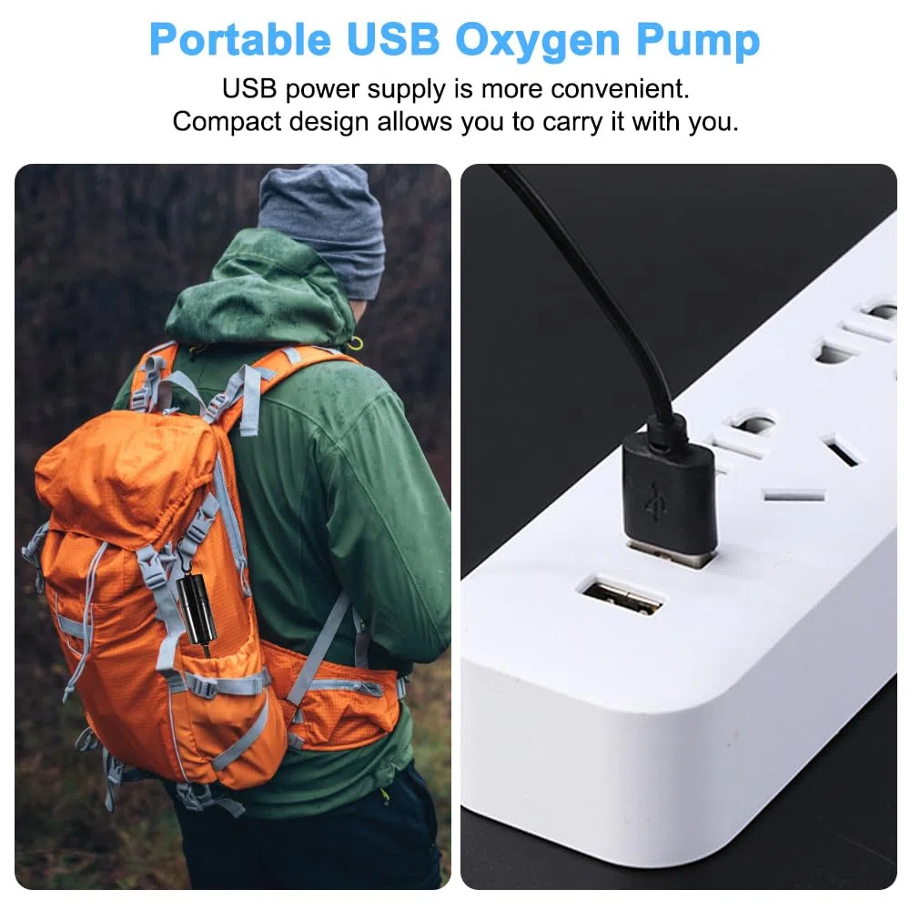 Set di pompe per ossigeno a energia solare, con pannello solare portatile da 3 W, 5 V, doppio erogatore d'aria, piccola pompa ad aria silenziosa, per stagno, acquario, stagno e stagno