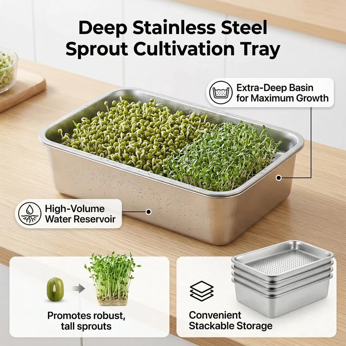 Set 2 Vassoi Germinazione in Acciaio Inossidabile 2 in 1 26 x 19 cm con Colino Fine e Vassoio per Germogli Crescita Microgreens Erba di Grano Riutilizzabile Anti-Ruggine Lavabile in Lavastoviglie