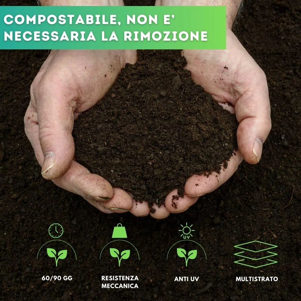 DI GIULIO SRL Telo BIODEGRADABILE PACCIAMANTE Larghezza 1 MT con Fori Centrali a 30 cm Varie Misure | Copertura Terreno ANTIERBACCE PACCIAMATURA | Bio Orto (1m x 100m)