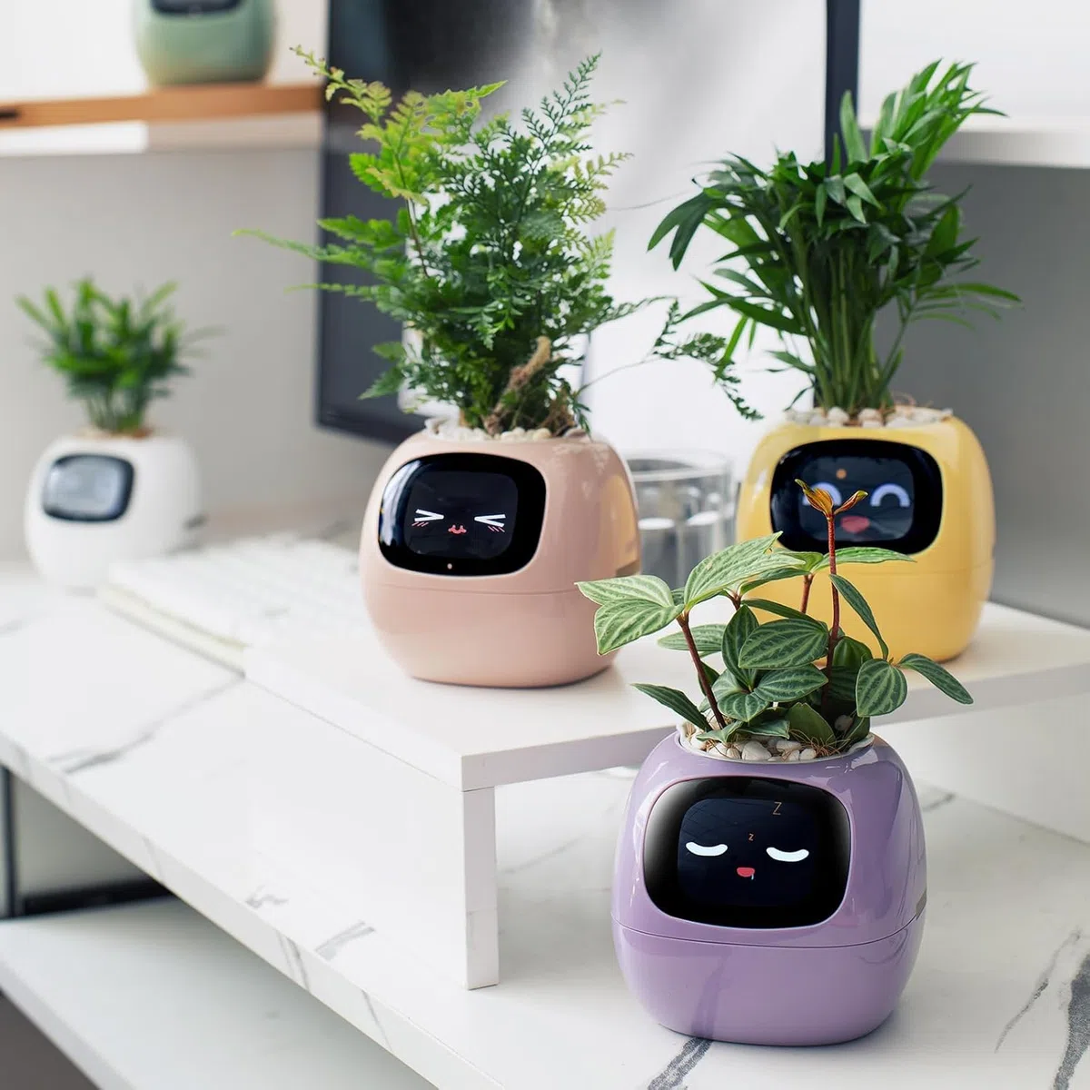 PLANTSIO Ivy - Vaso da fiori intelligente per la decorazione della casa, ideale per la casa, per la scrivania, idea regalo, per la cura delle piante, con emoji e amici animali domestici (Bianco latte)