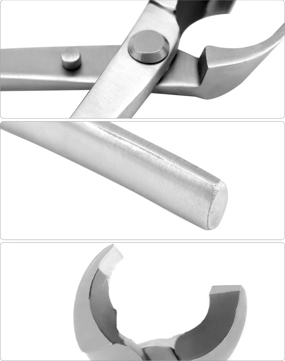 QWORK® Taglierina concava in Acciaio Inox - 21 cm - Strumento Bonsai per la potatura dei Rami dei Bonsai