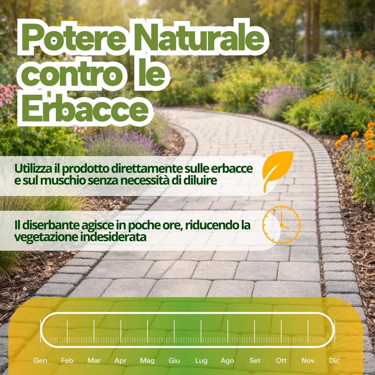Dissecante per Erba Totale Spray Naturale 1L Alternativa al Diserbante Totale Potente, Senza Glifosato, per Erbacce, Muschio e Vegetazione Indesiderata Pronto all’Uso Eco-Sostenibile