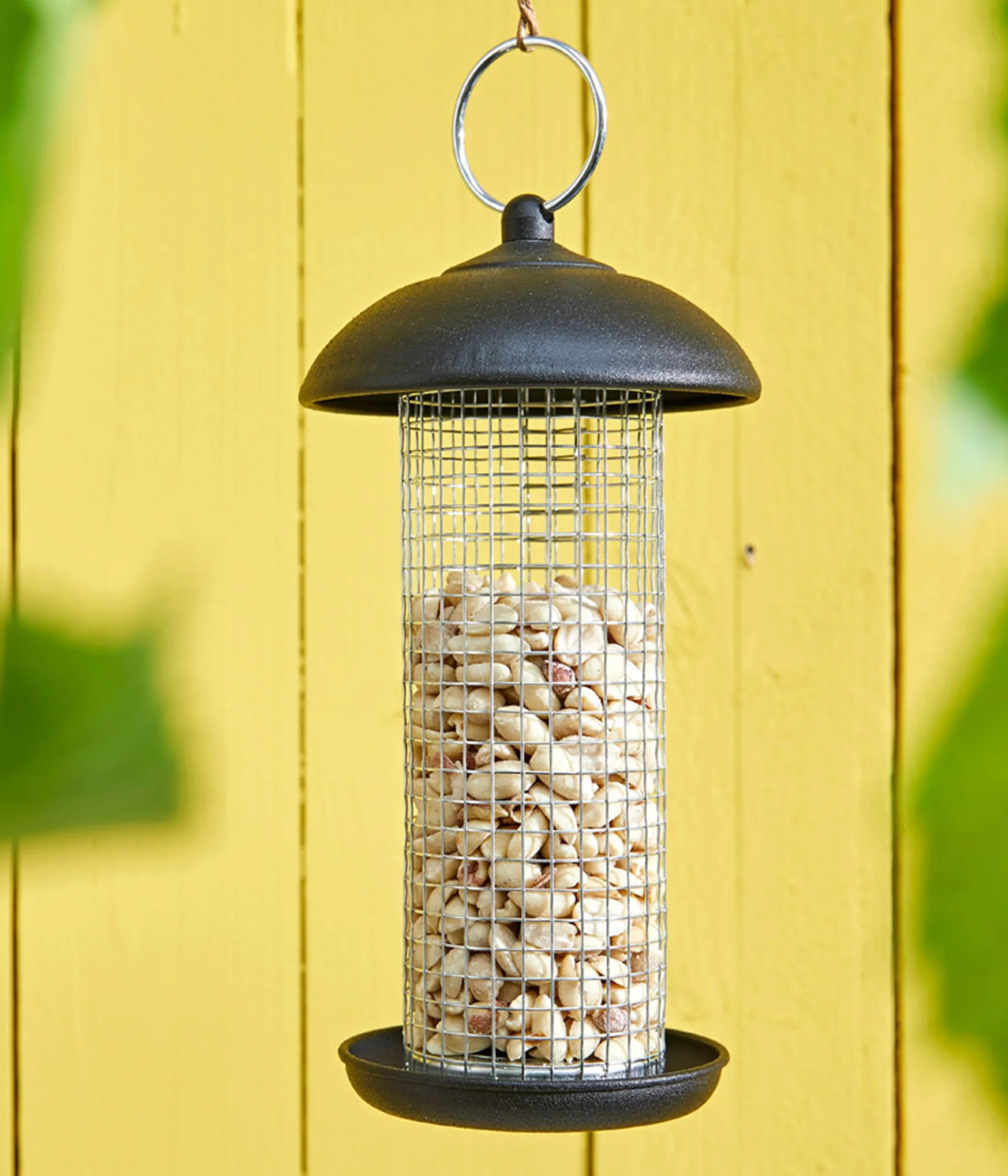Dehner Natura Premium mangime per Uccelli Selvatici, Arachidi per metà o Intere, 5 kg