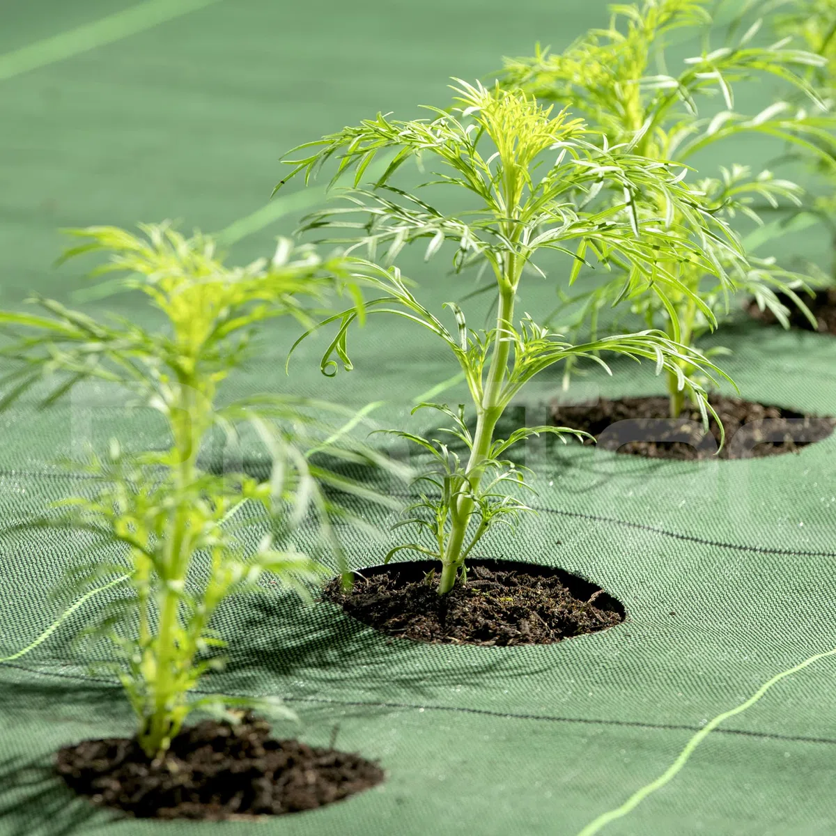 Pro-Tec 130 g/m², tessuto per il controllo delle infestanti da giardino, larghezza 1,2,3,4,5 m (4 m x 5 m)