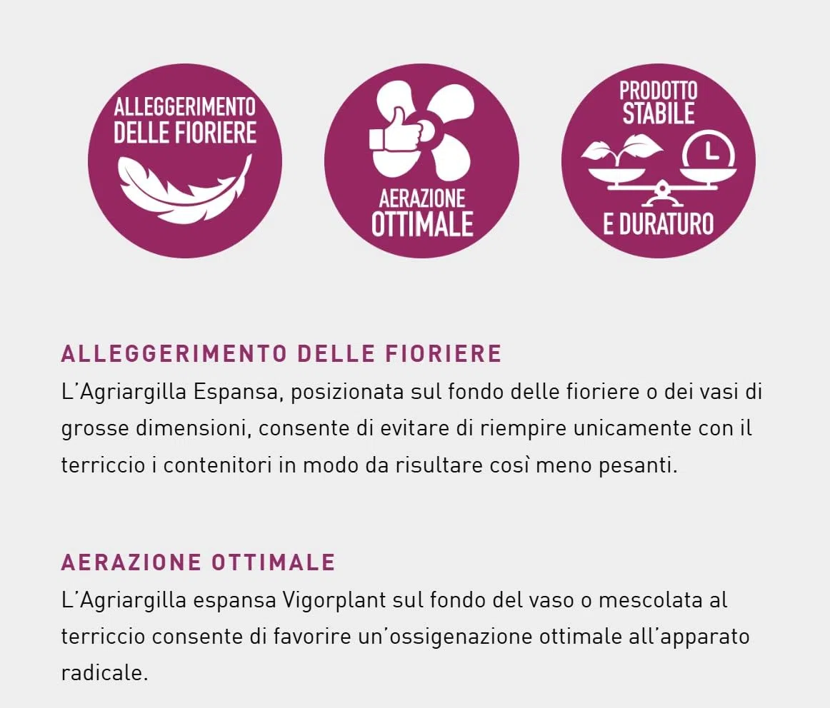 Agriargilla 2 Confezioni da 10L (20L Totali) - Argilla Espansa per Piante 8-20 mm, Inerte a pH Controllato, Ideale per Drenaggio, Aerazione e Decorazione di Vasi e Fioriere