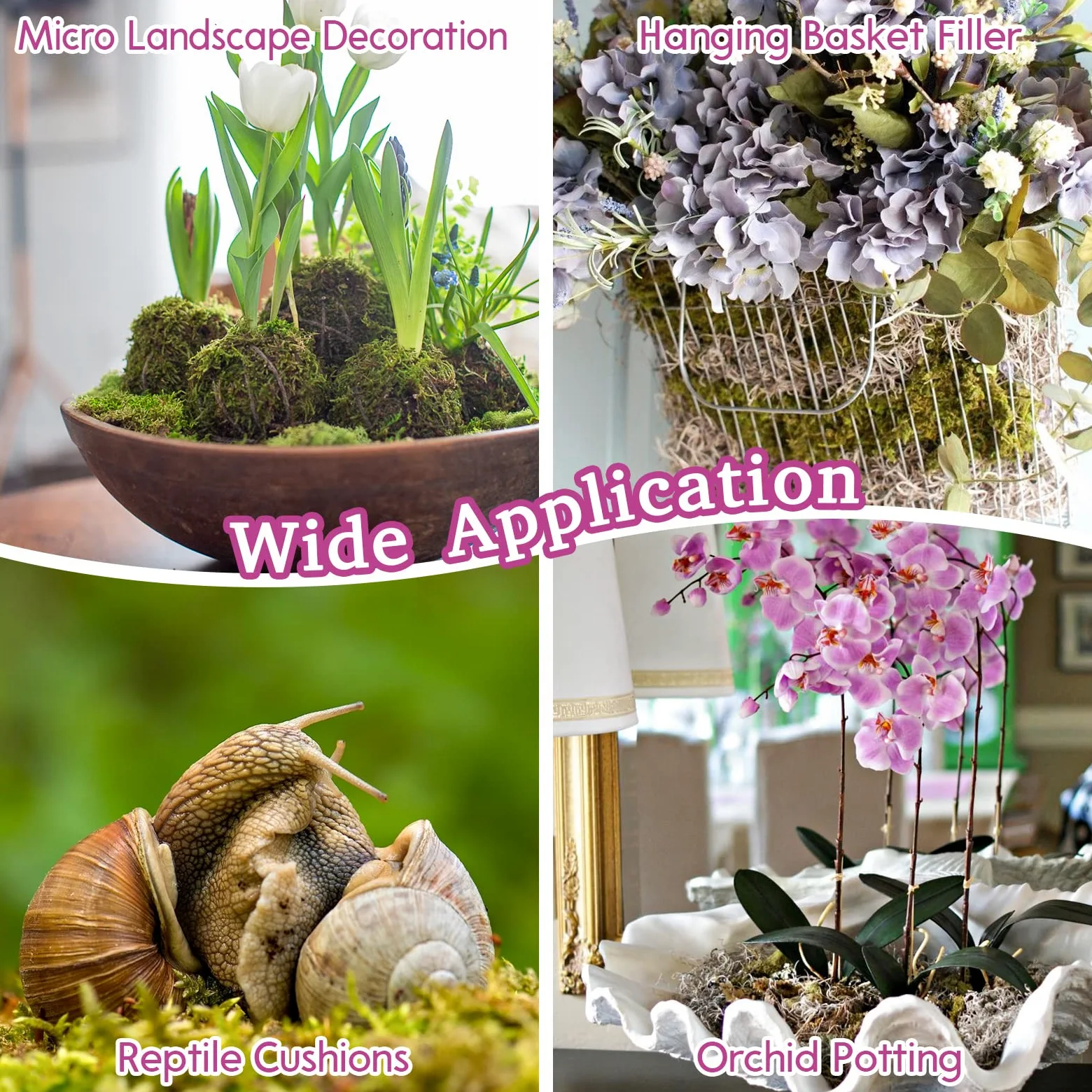 Riare Muschio di Sfagno, Torba a Fibra Lunga Naturale per Orchidee, Piante Carnivore, Vasi e Substrato - Ideale per Piante da Interno ed Esterno (Ri-Moss-150g)