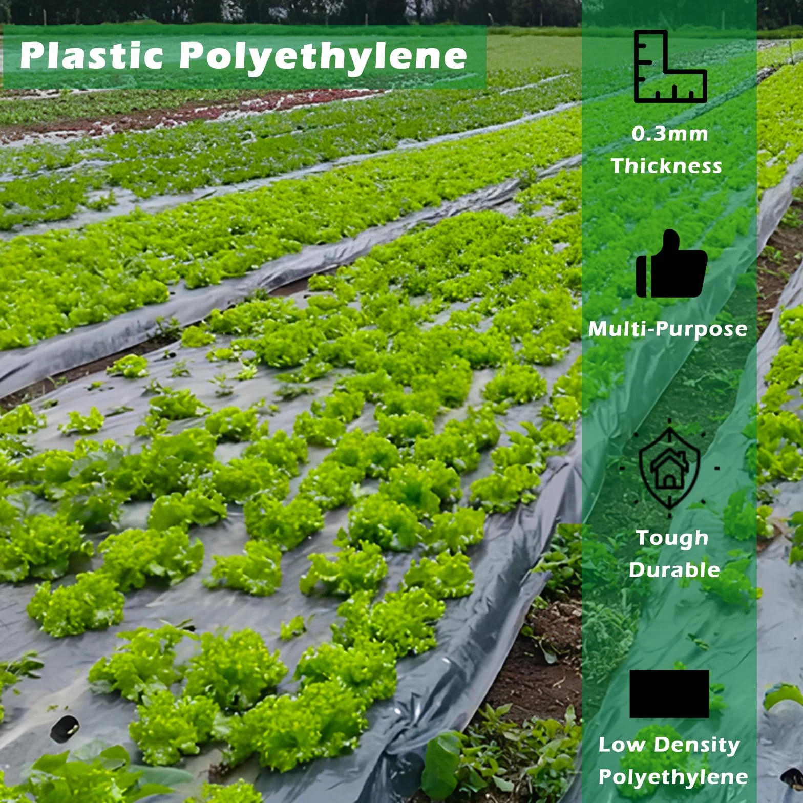 PALUDO 2 x 10M Telo di Ricambio in Polietilene Nero per Serre, Foglio di Ricambio in PVC per Serra Extra Spesso, Copertura Serra per Protezione delle Piante da Giardino (125Mu / 500G)