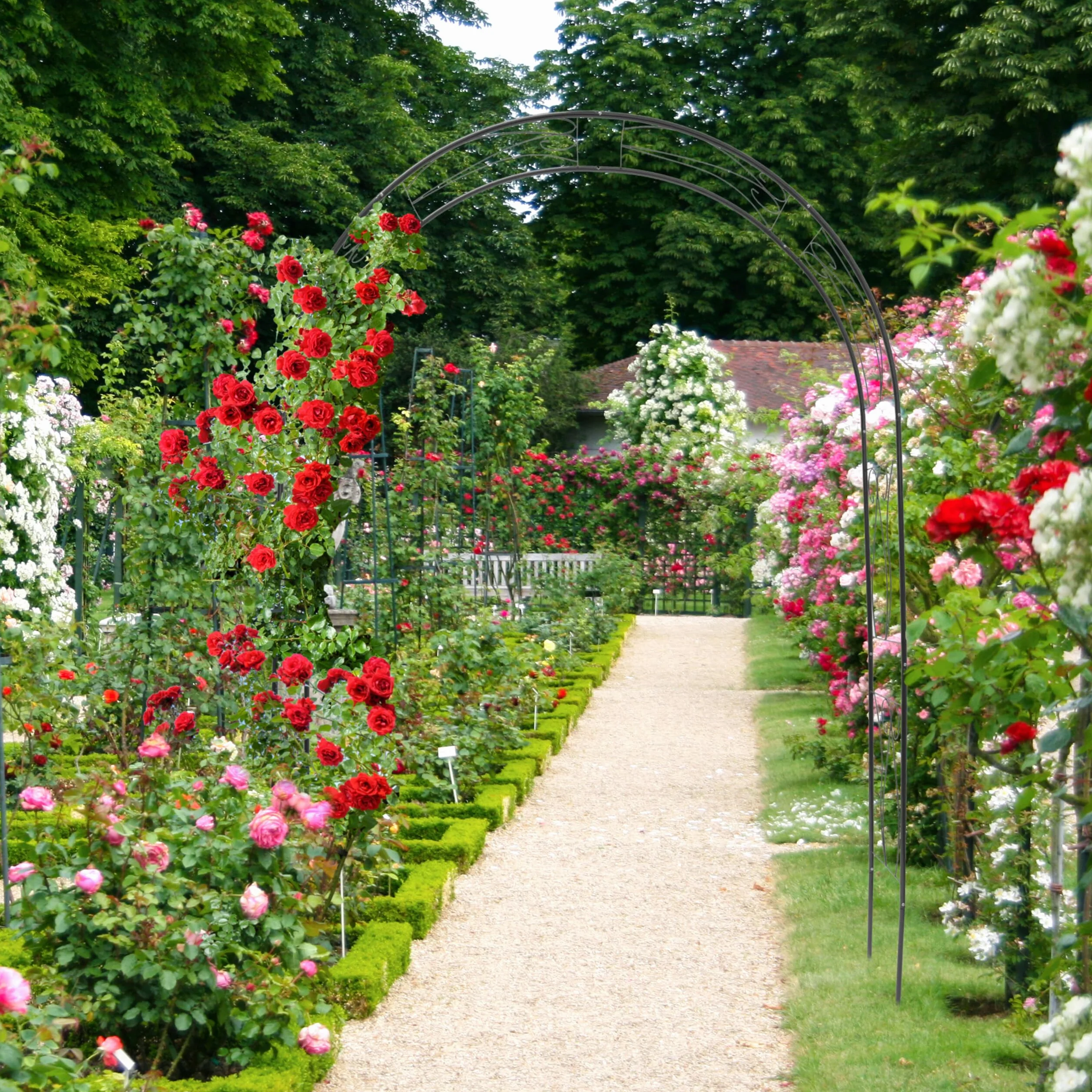 Relaxdays Arco per Rose Rampicanti, HLP 233x153x39 cm, Decorazione Giardino, Sostegno per Piante in Metallo, Verde Scuro