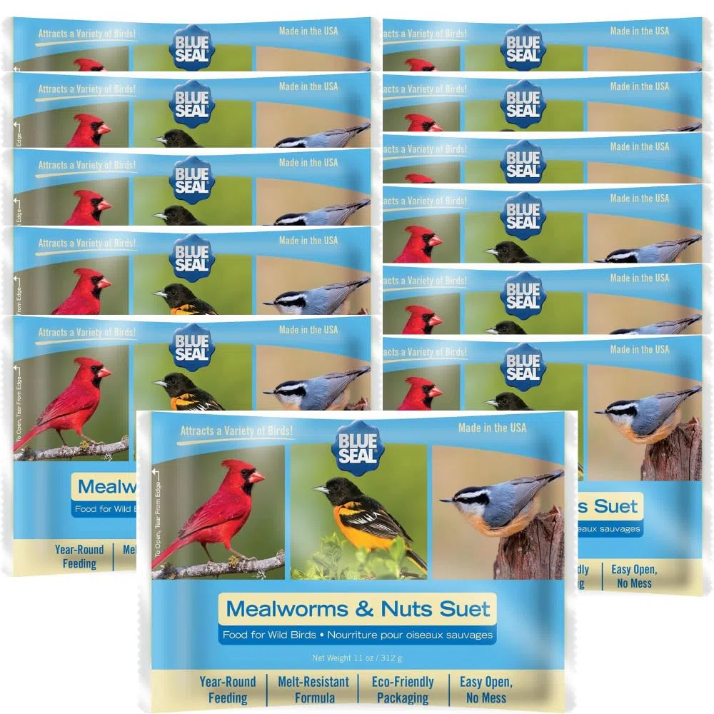 Blue Seal Mealworms & Nuts Suet Cake per uccelli selvatici – No Mess Suet Feed, cibo per picchi, cardinali, Siskins, passeri e altro – 311,8 g Suet Feeder, torta di semi di uccelli (confezione da 12)