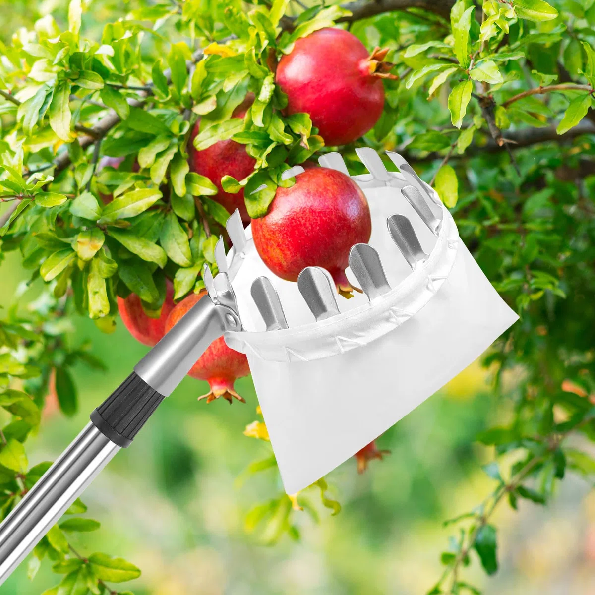 GOSHIES Raccogli frutta, 4 m, con manico telescopico, raccogli mele, con sacchetto di cotone, per ciliegie, facile da montare per alberi da frutto