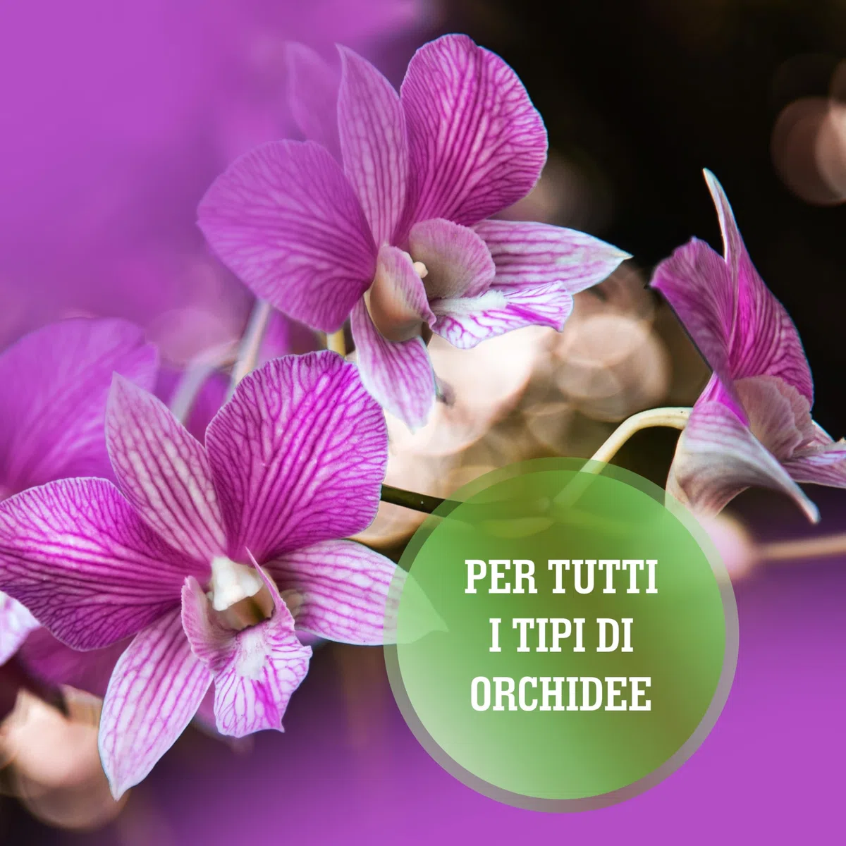 LERAVA concime orchidee liquido – 330ml con tapo dosatore - concime per orchidee per una fioritura ricca - nutrimento bilanciata con microelementi chelati – fertillizzante orchidee “Made in Italy”