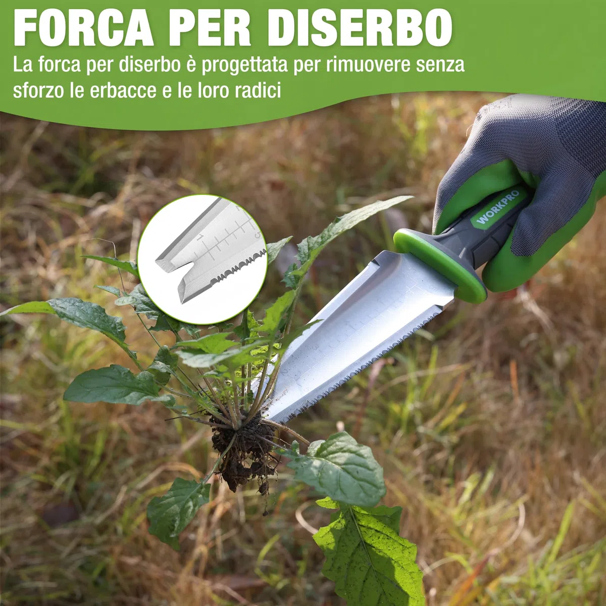 WORKPRO Paletta da Giardino con Custodia in Oxford, Lama in Acciaio Inossidabile Seghettata, Coltello da Giardino per Estirpazione, Piantagione e Scavatura